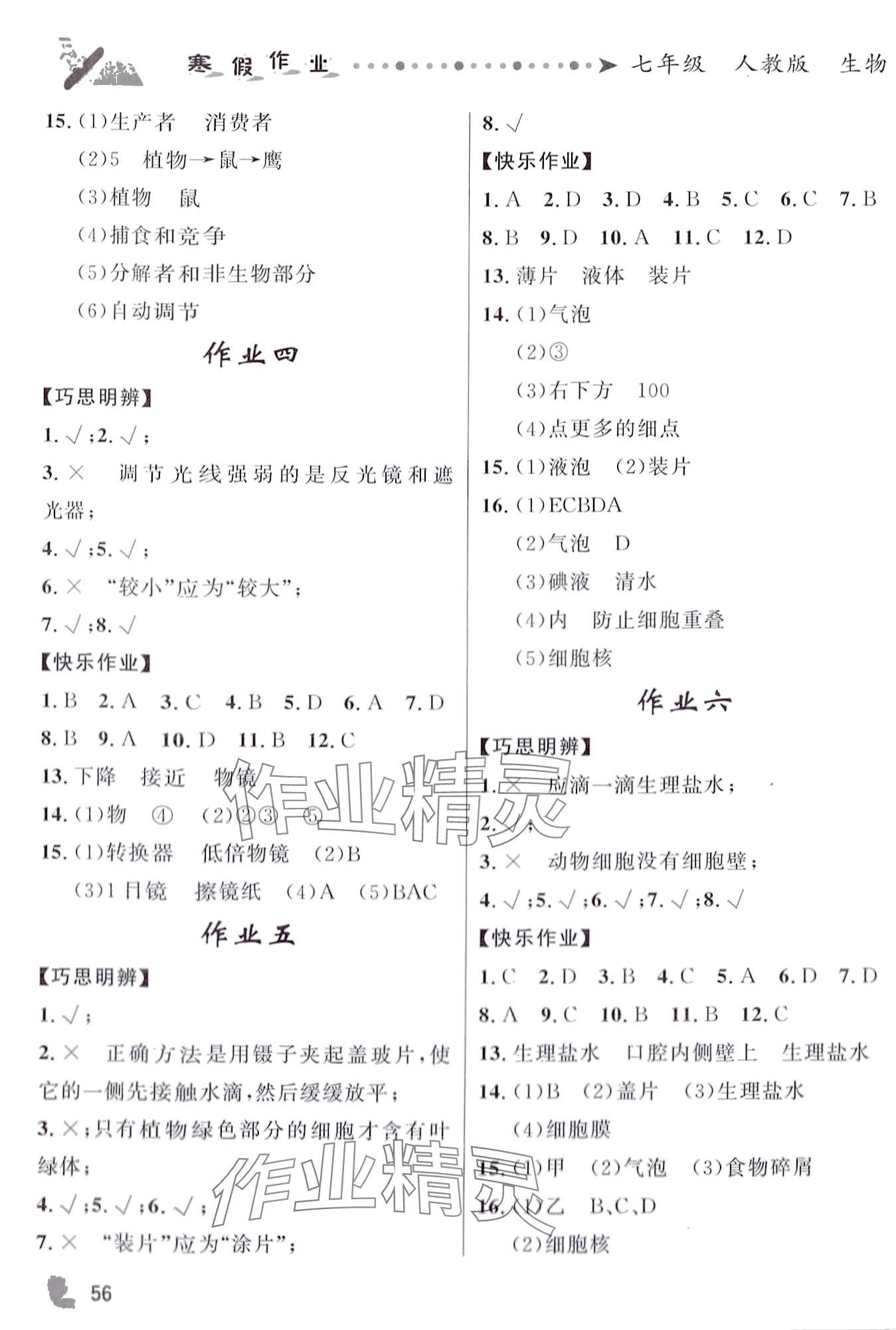 2024年蓝博士寒假作业甘肃少年儿童出版社七年级生物人教版 第2页