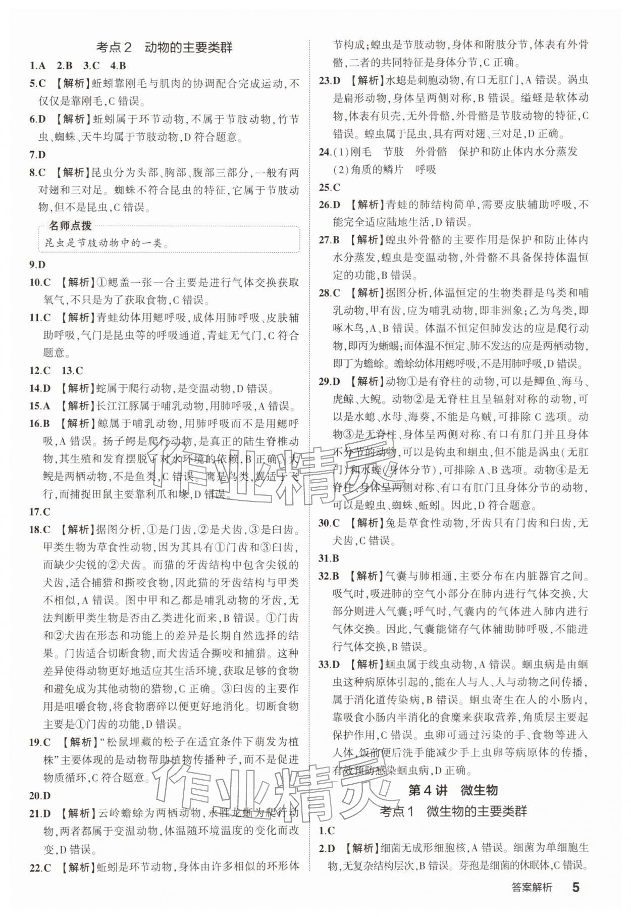 2026年5年中考3年模拟中考生物 参考答案第5页