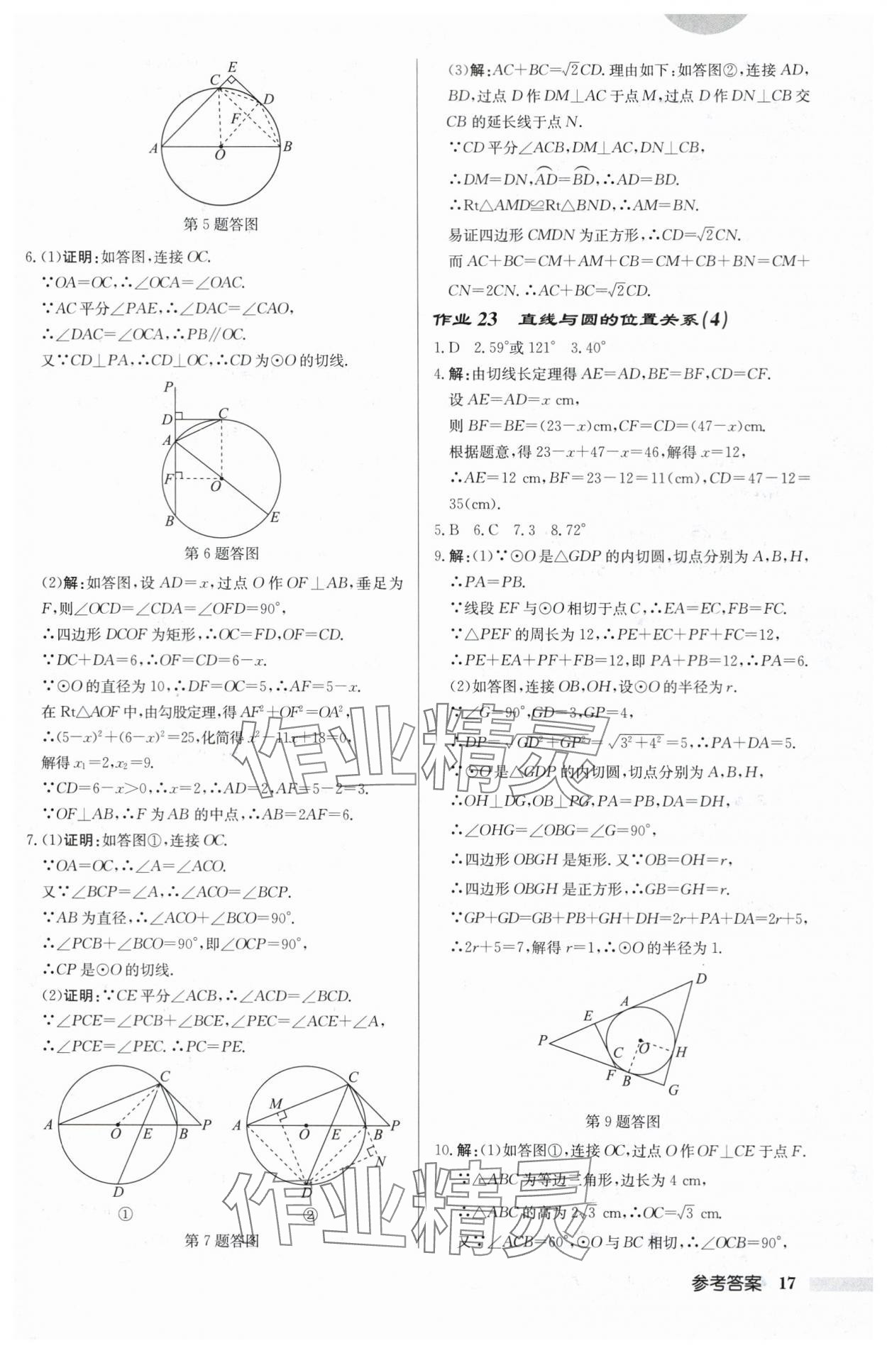 2024年啟東中學(xué)作業(yè)本九年級(jí)數(shù)學(xué)上冊(cè)蘇科版鹽城專(zhuān)版 第17頁(yè)