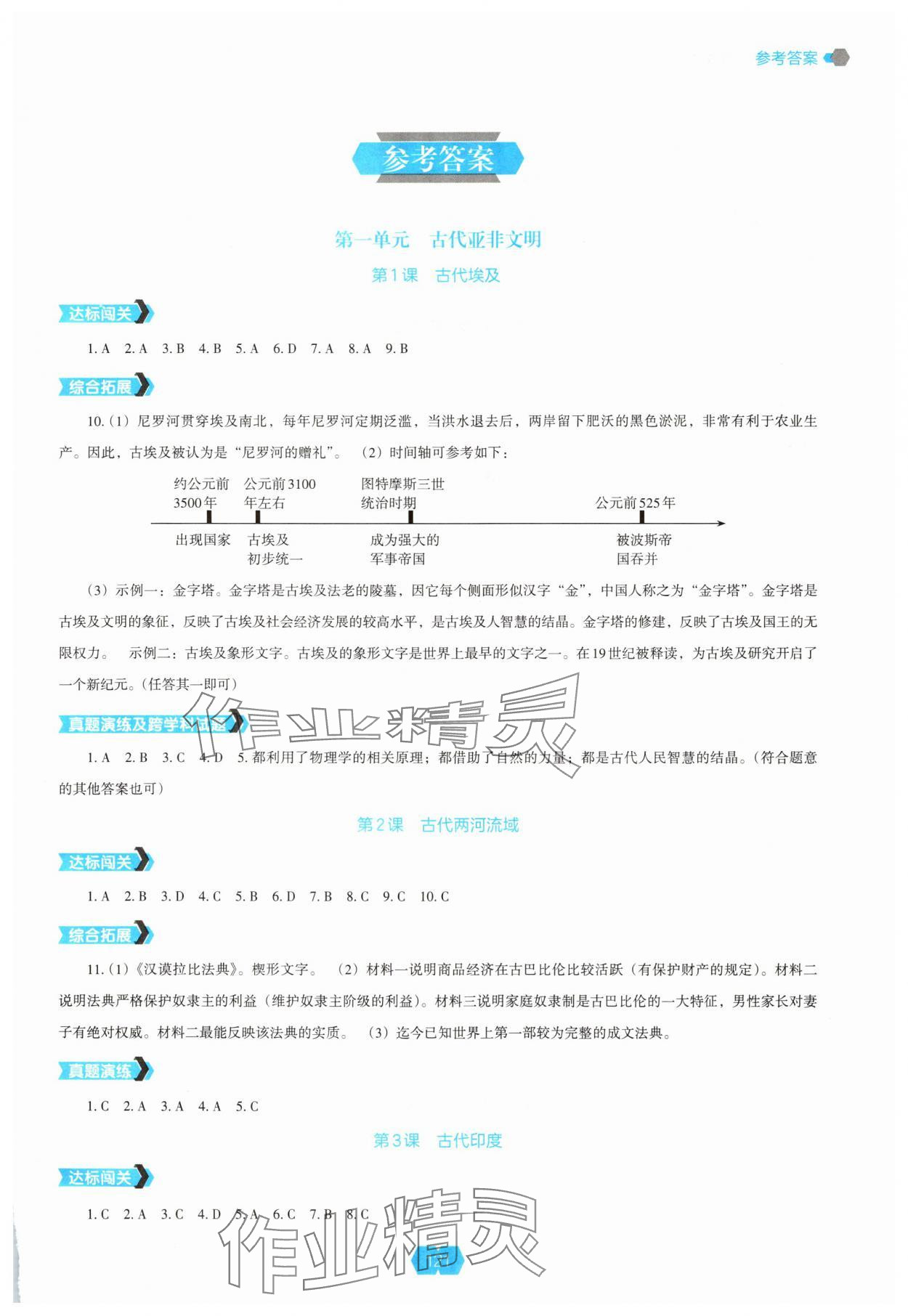 2025年新课程能力培养九年级历史上册人教版 第1页
