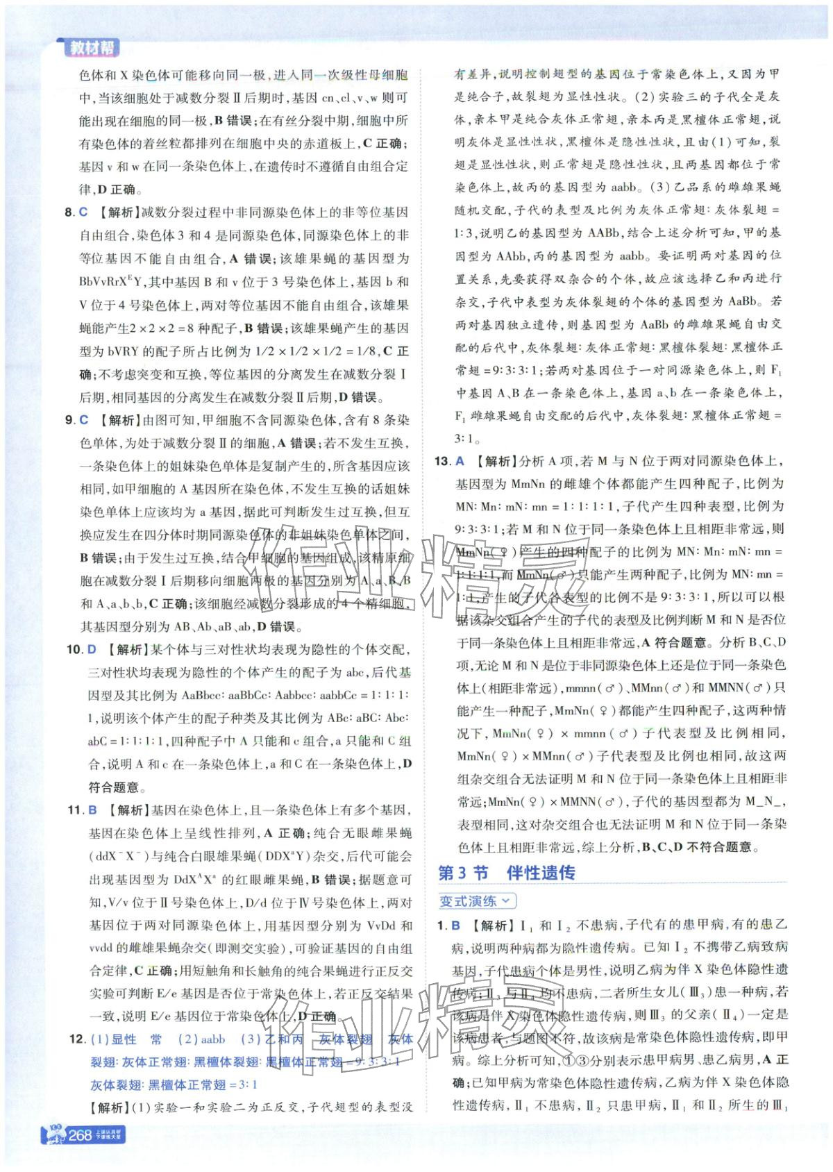 2025年教材幫高中生物必修第二冊人教版 第16頁