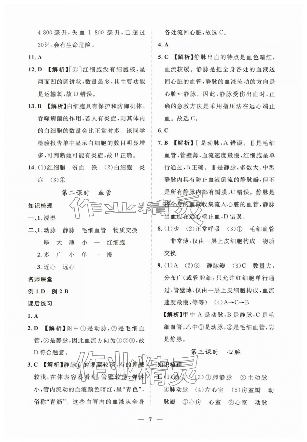 2025年一課一練創(chuàng)新練習(xí)七年級生物下冊冀少版 第7頁