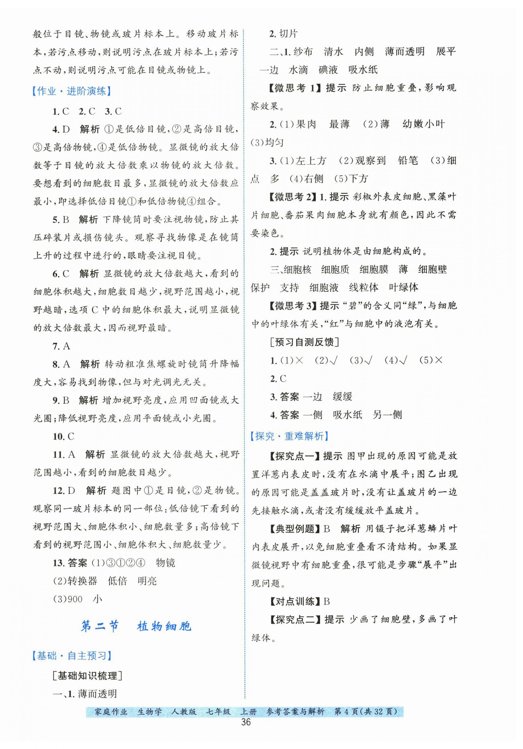 2025年家庭作业七年级生物上册人教版 第4页