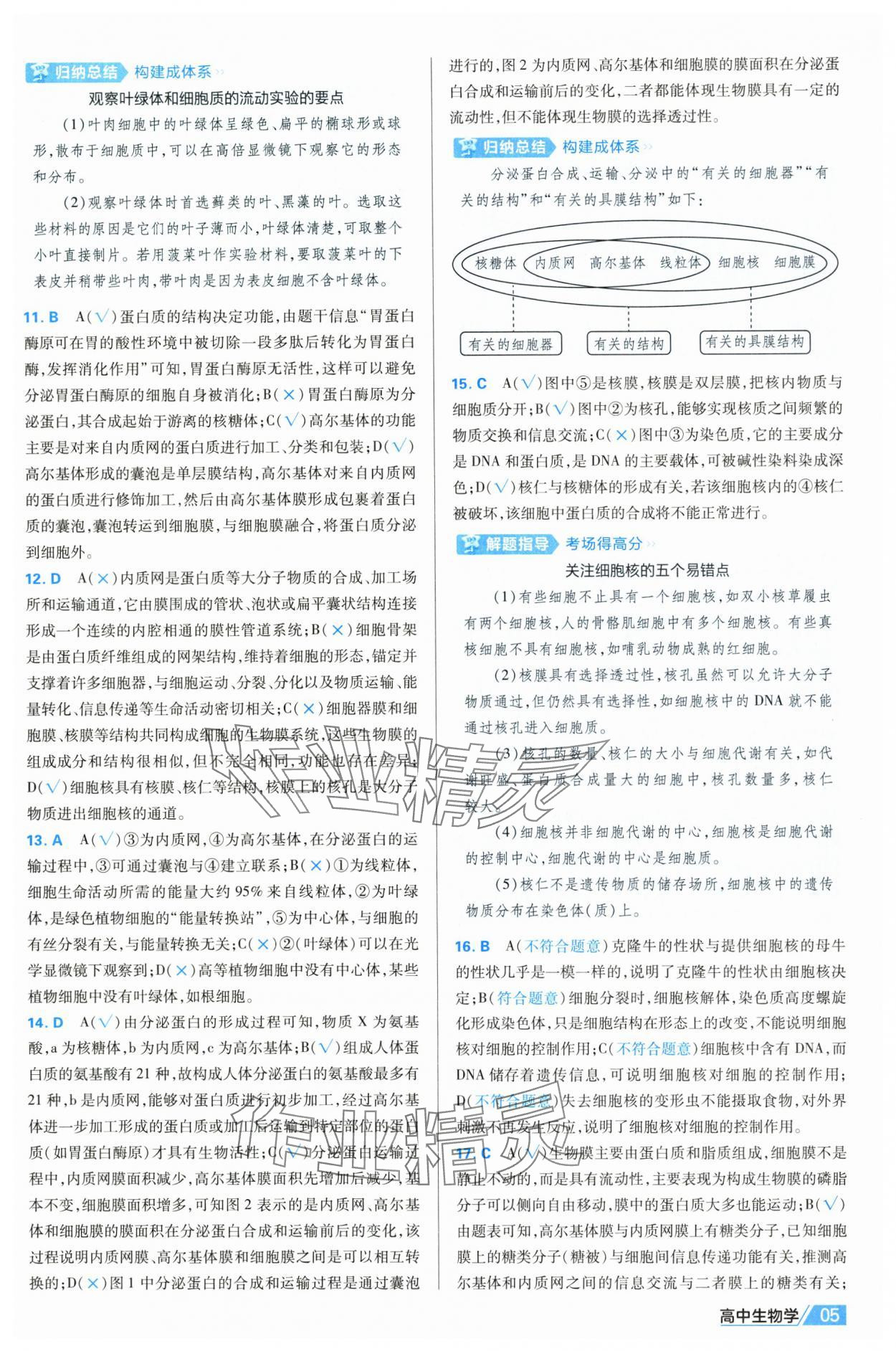 2025年金考卷名師名題單元雙測卷高中生物必修1人教版 第5頁