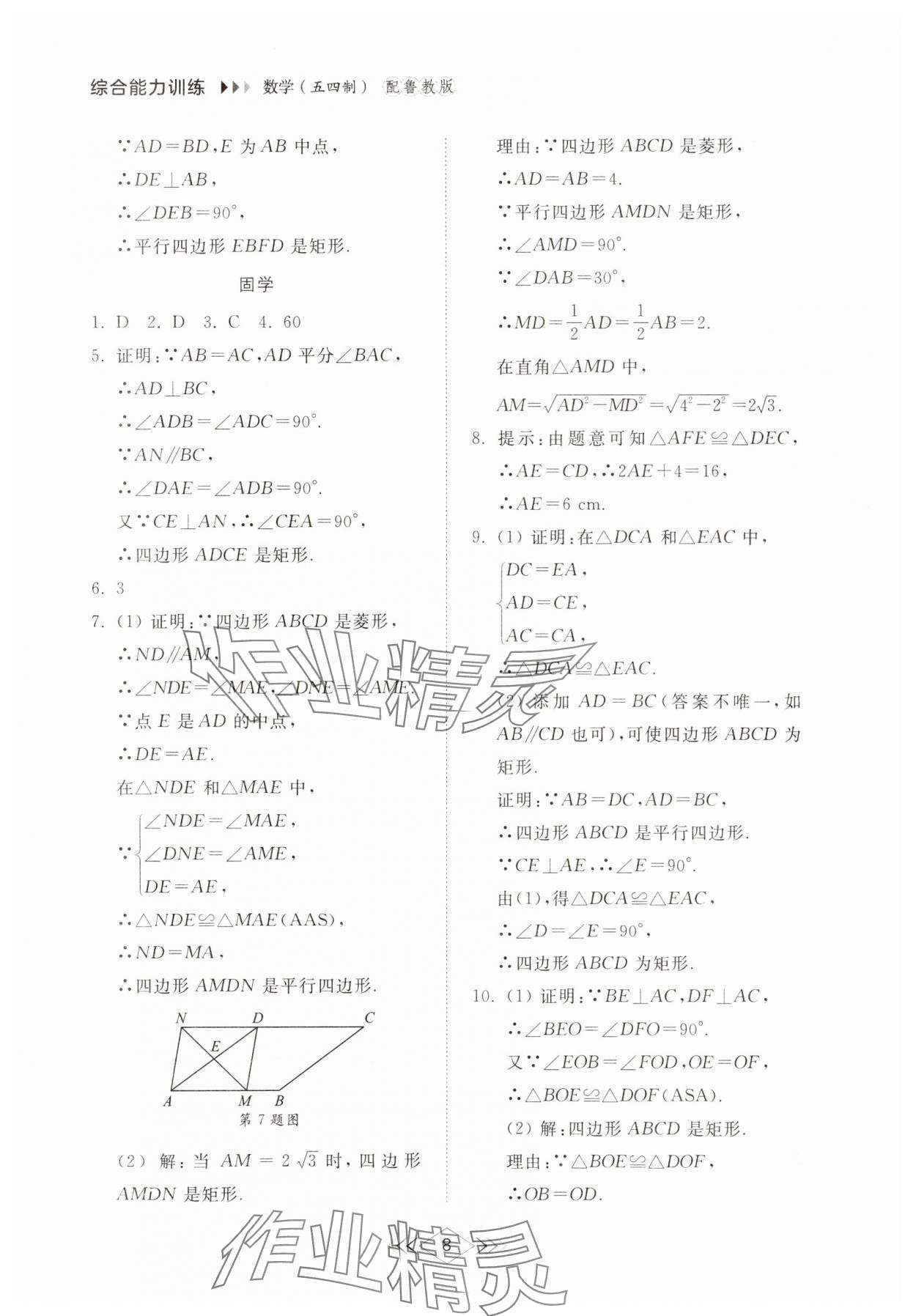 2025年綜合能力訓練八年級數學下冊魯教版54制 參考答案第7頁