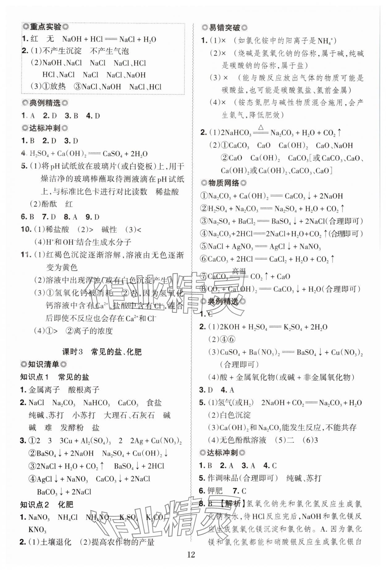 2025年中考沖刺化學(xué)廣東專版 第12頁