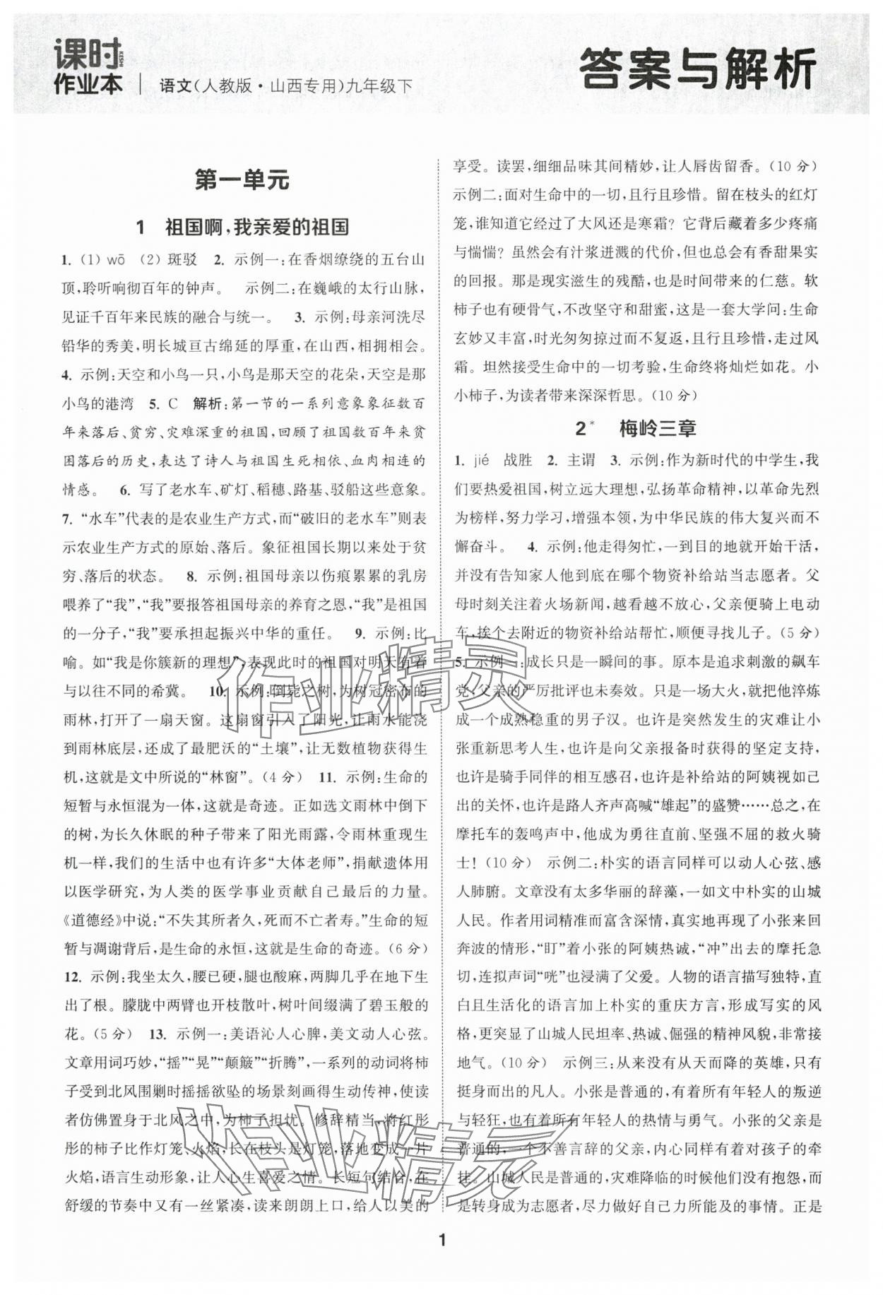 2025年通城學(xué)典課時作業(yè)本九年級語文下冊人教版山西專版 第1頁