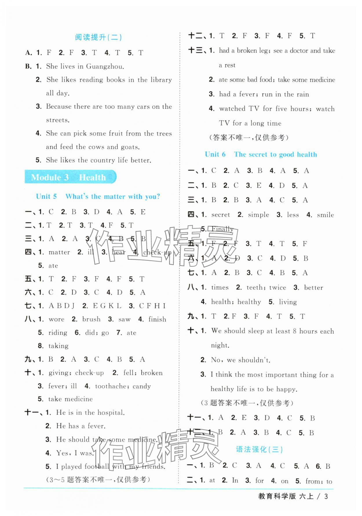 2025年陽光同學(xué)課時優(yōu)化作業(yè)六年級英語上冊教科版廣州專版 第3頁