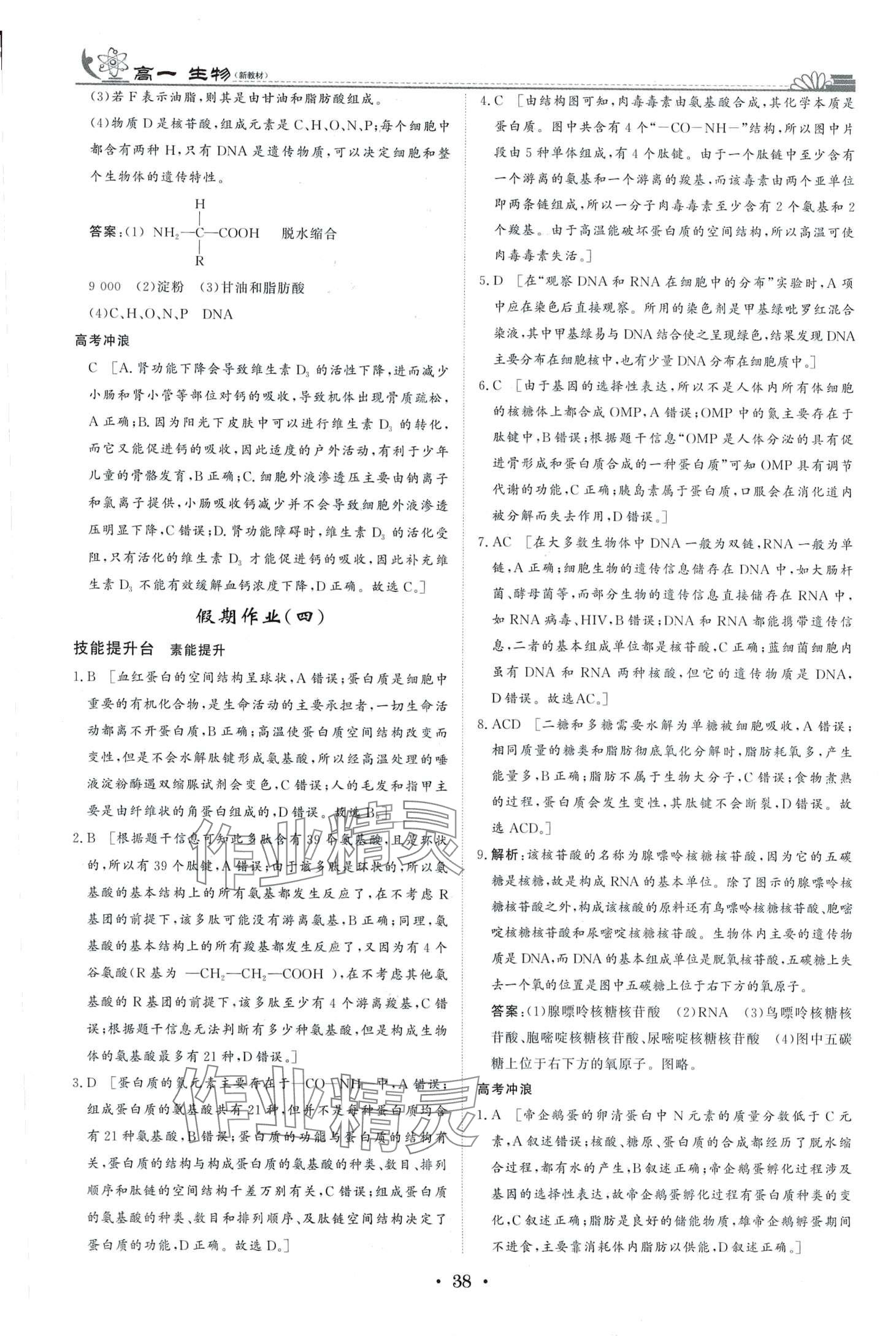 2024年快樂假期黑龍江教育出版社高一生物 第3頁