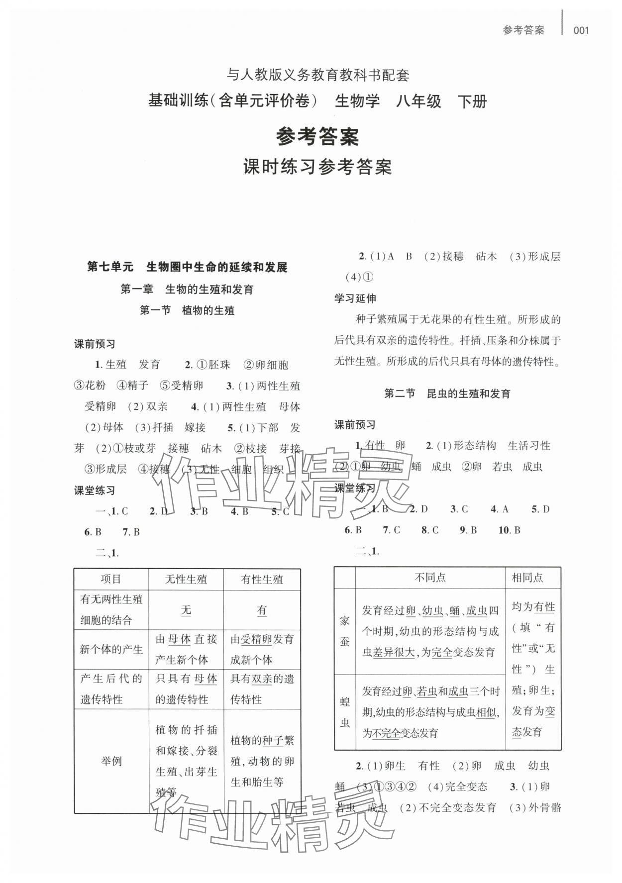 2025年基礎(chǔ)訓(xùn)練大象出版社八年級生物下冊人教版 第1頁