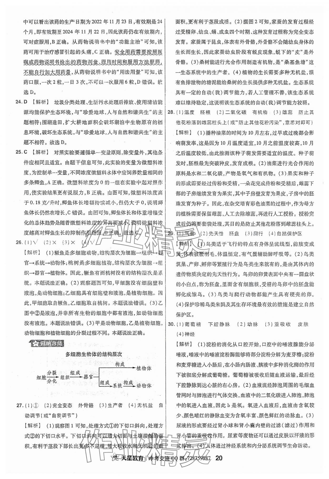 2024年金考卷福建中考45套匯編生物 參考答案第20頁(yè)