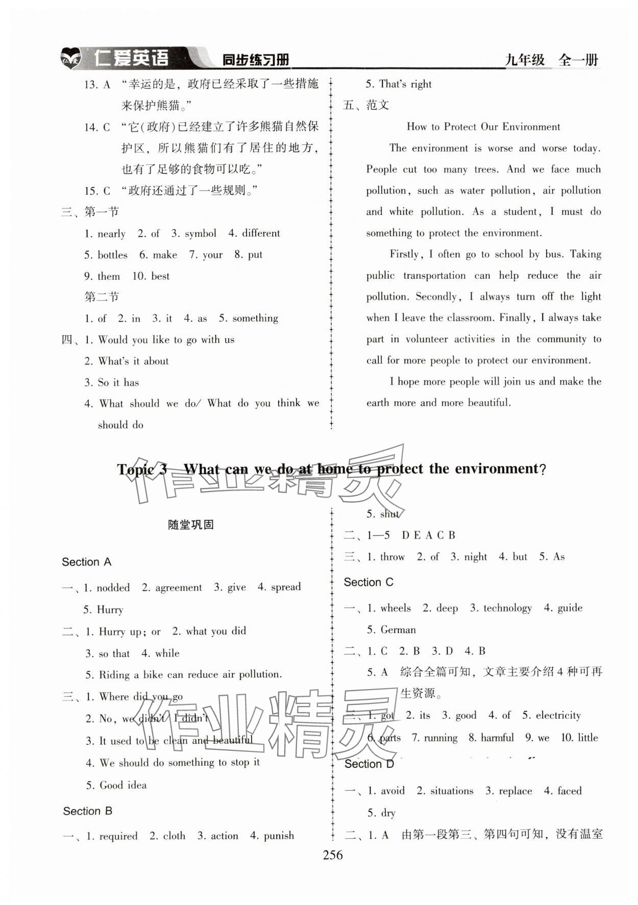 2023年仁爱英语同步练习册九年级全一册仁爱版河南专版 第12页