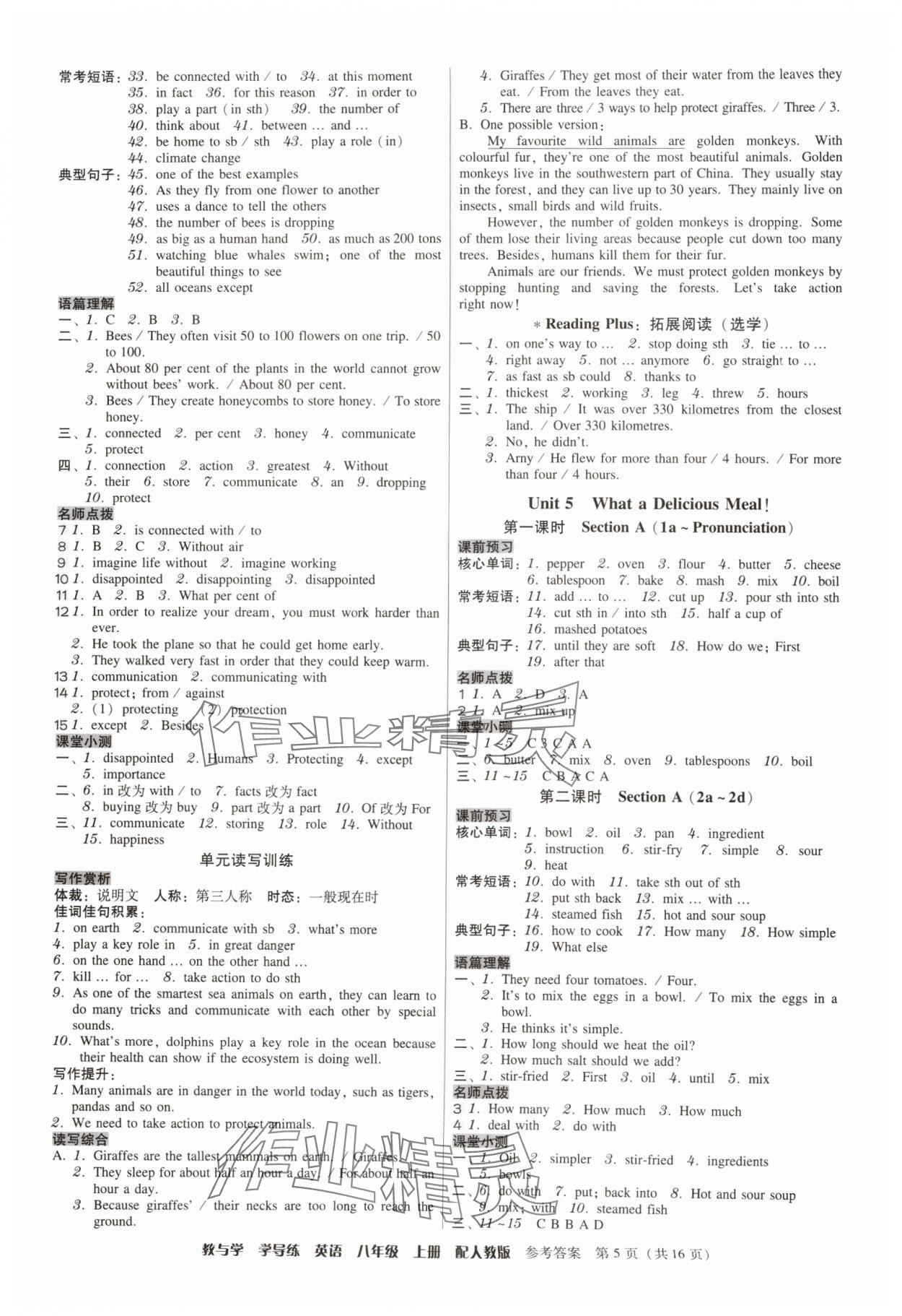2025年教与学学导练八年级英语上册人教版&nbsp;第5页