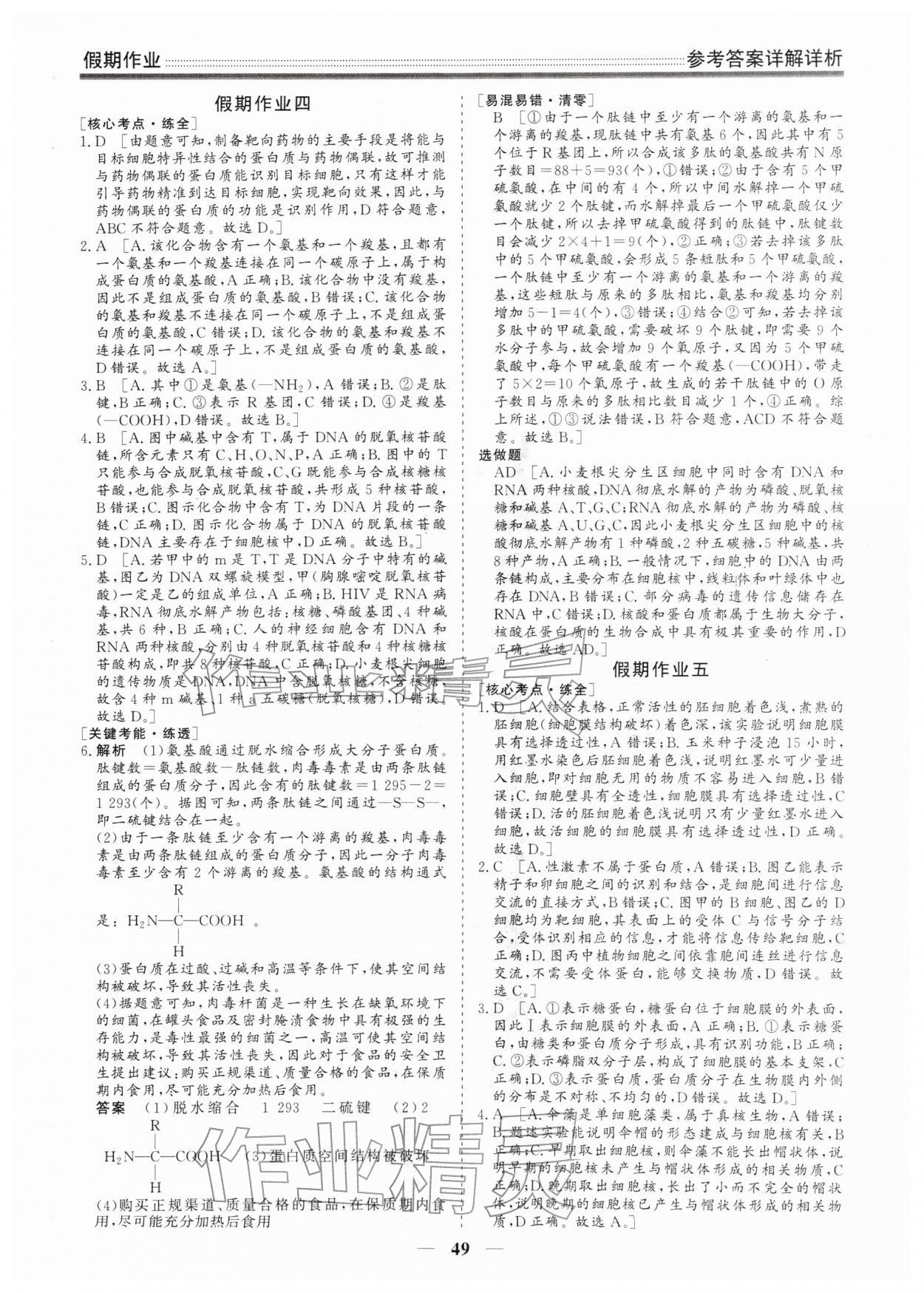 2026年衡水名师新作高一生物&nbsp;参考答案第3页