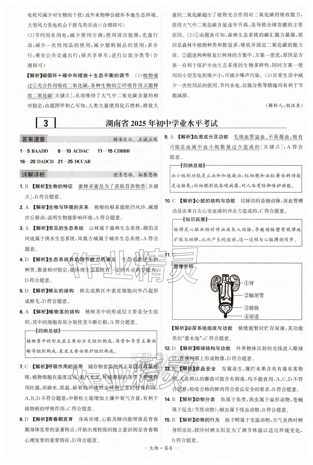 2026年天利38套新课标全国中考试题精选生物 第6页