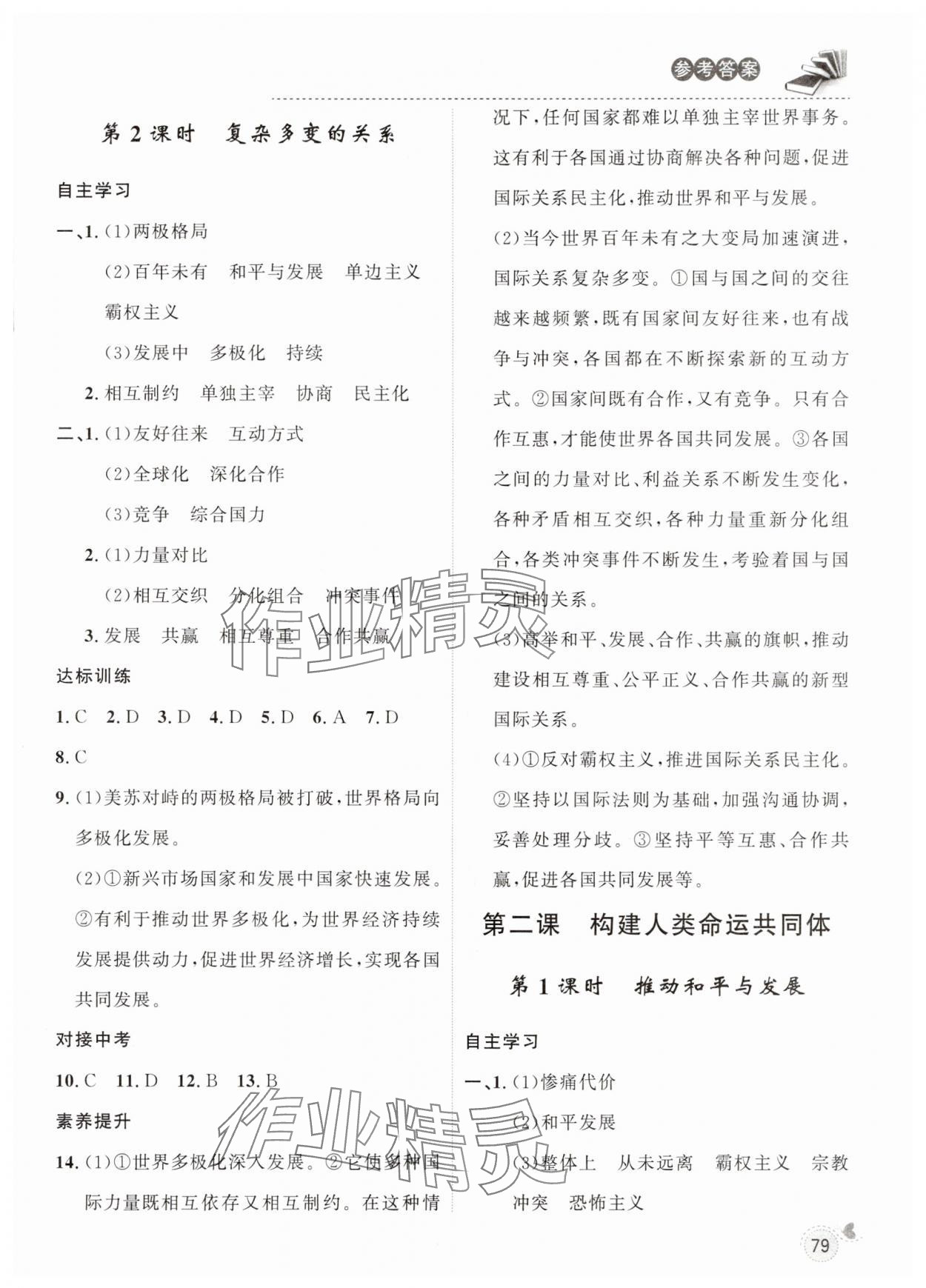 2025年配套检测与练习九年级道德与法治下册人教版 参考答案第2页