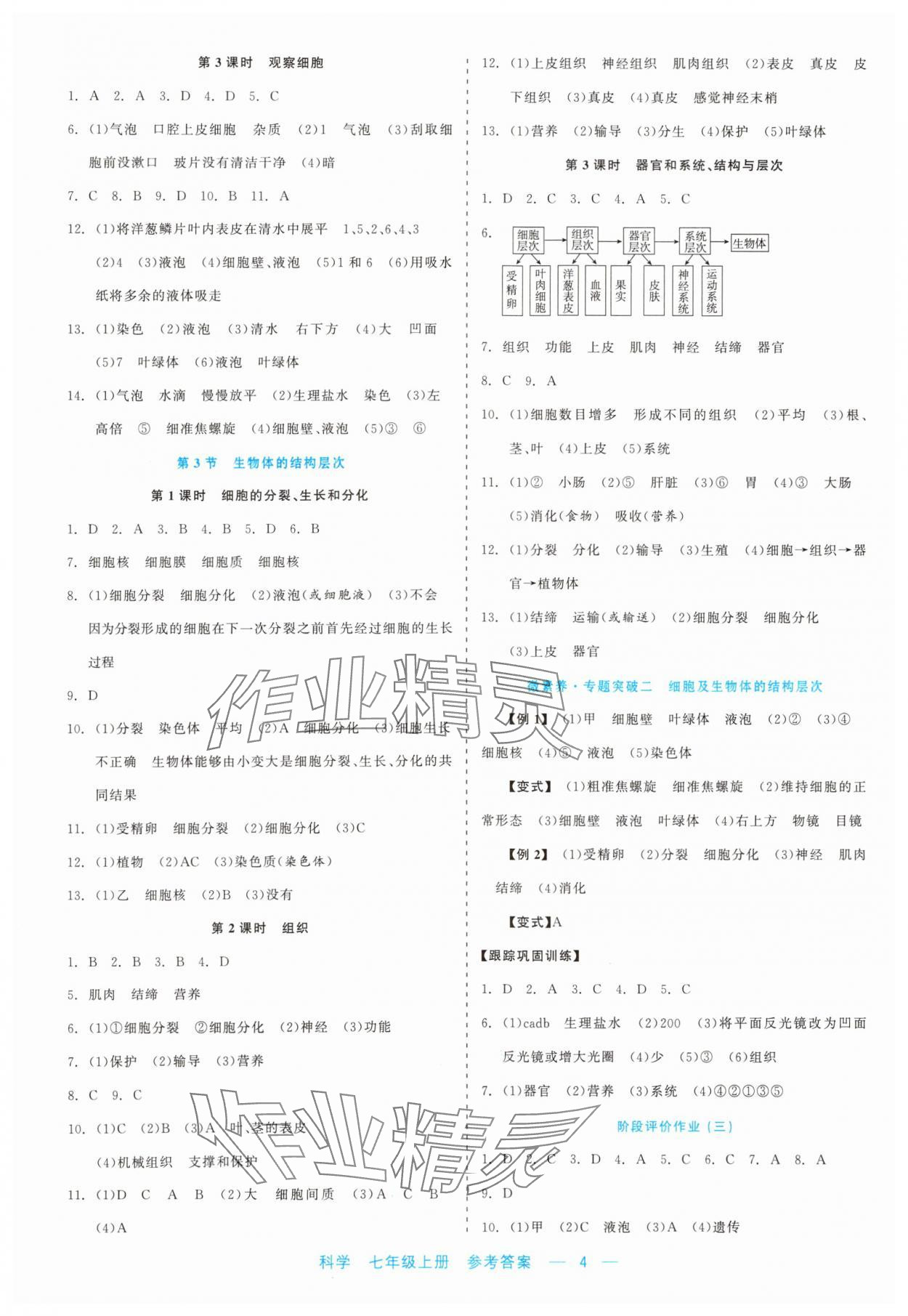 2023年精彩練習(xí)就練這一本七年級科學(xué)上冊浙教版評議教輔 第4頁