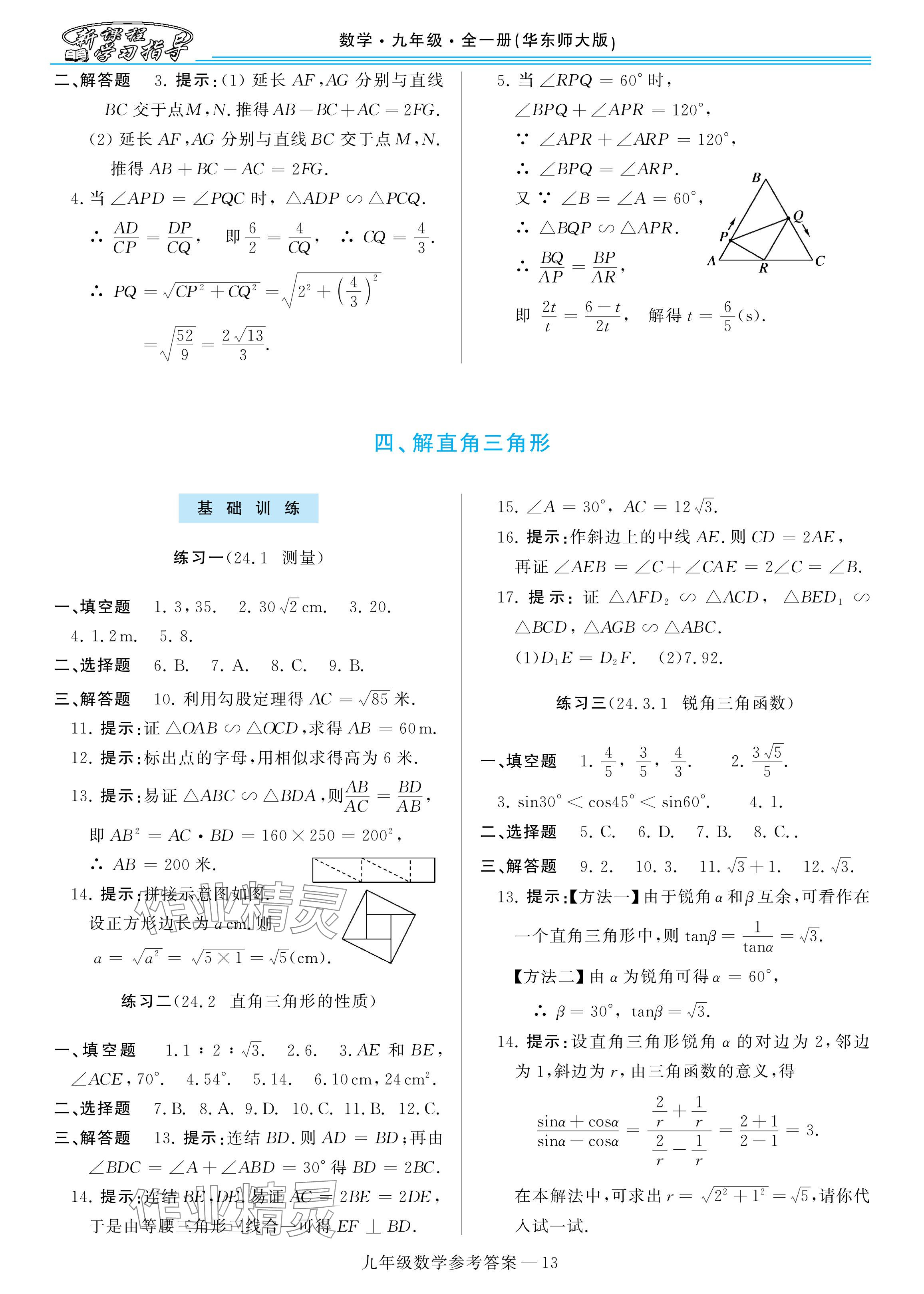 2024年新課程學習指導九年級數(shù)學全一冊華師大版 參考答案第13頁