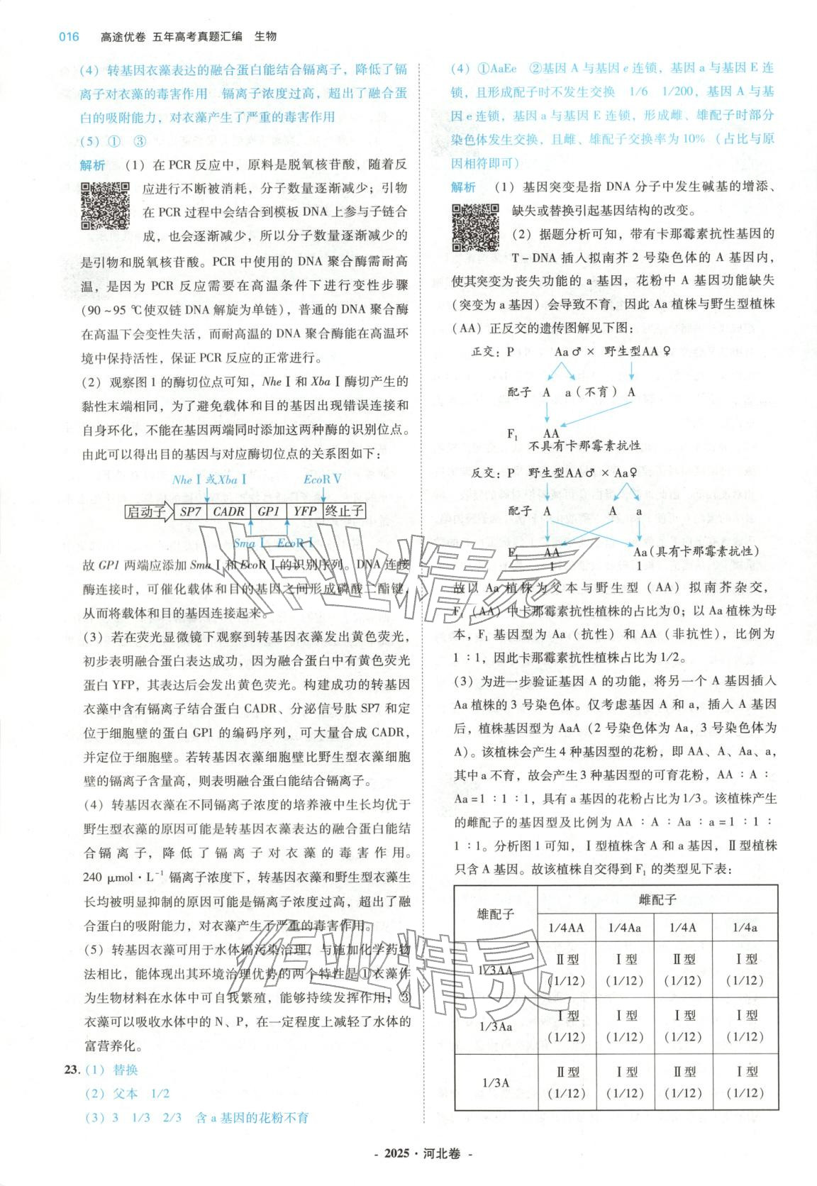 2026年五年高考真题汇编高中生物&nbsp;第16页
