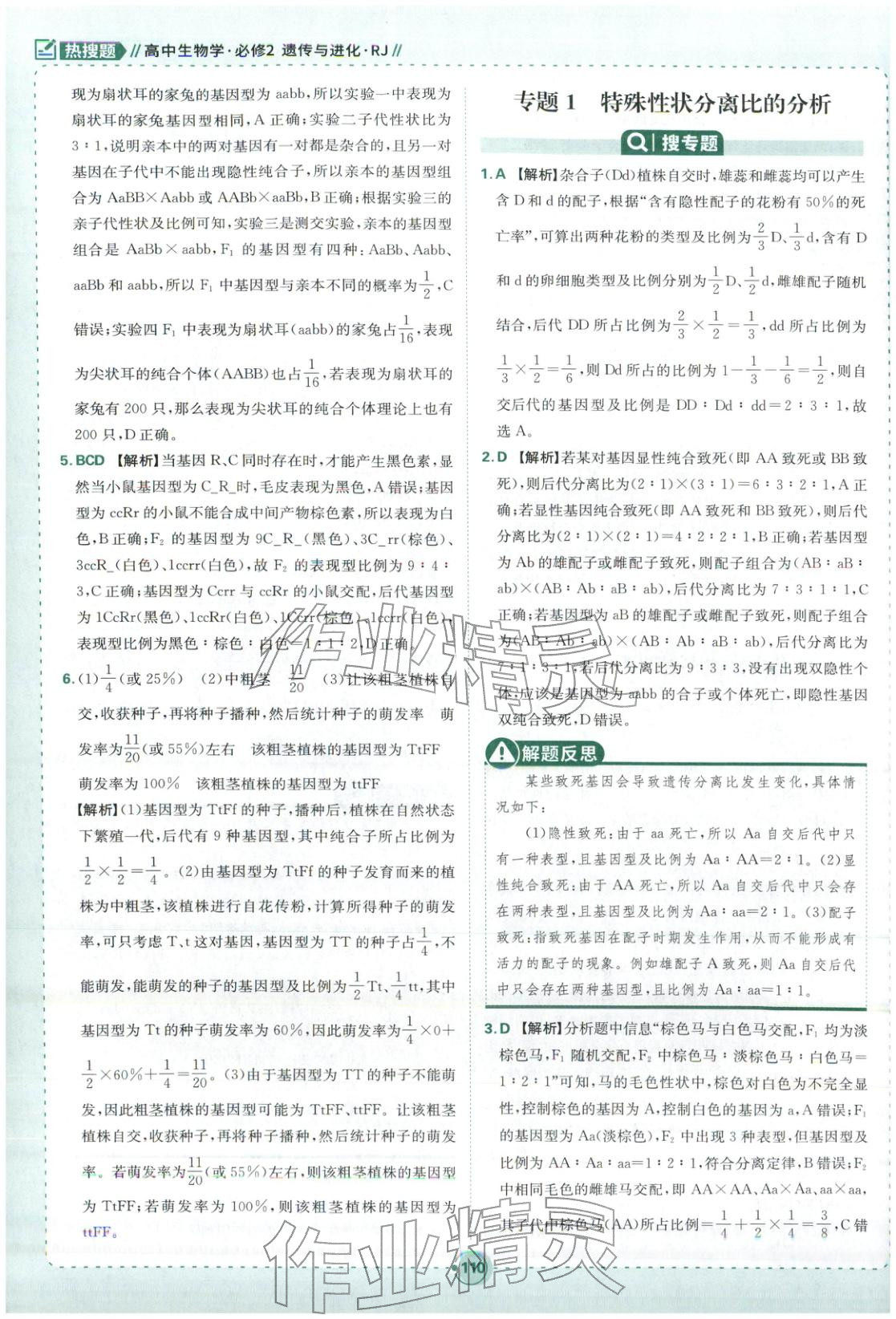 2026年热搜题高中生物必修第二册人教版 第4页