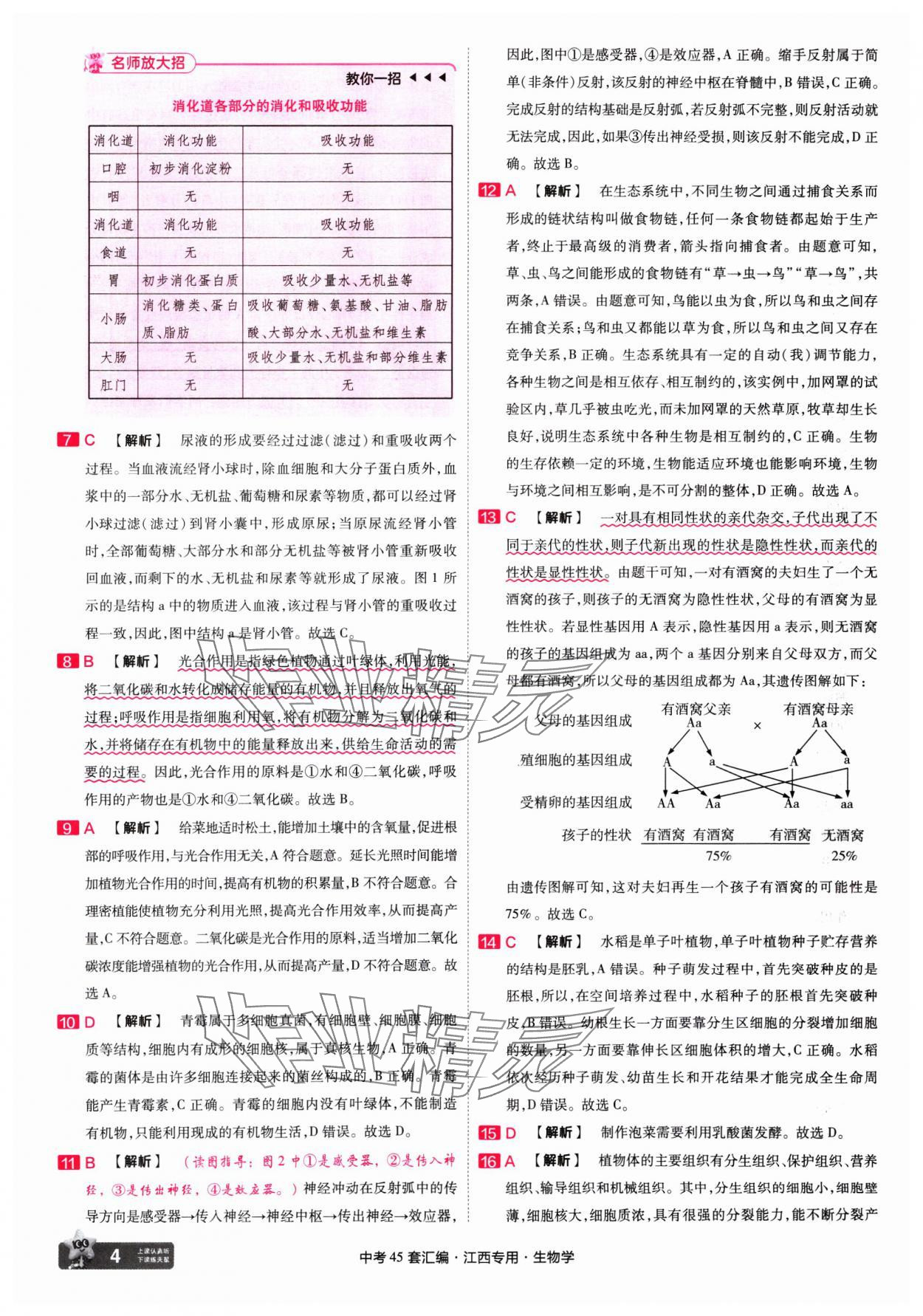 2025年金考卷45套匯編生物中考江西專(zhuān)版 第4頁(yè)