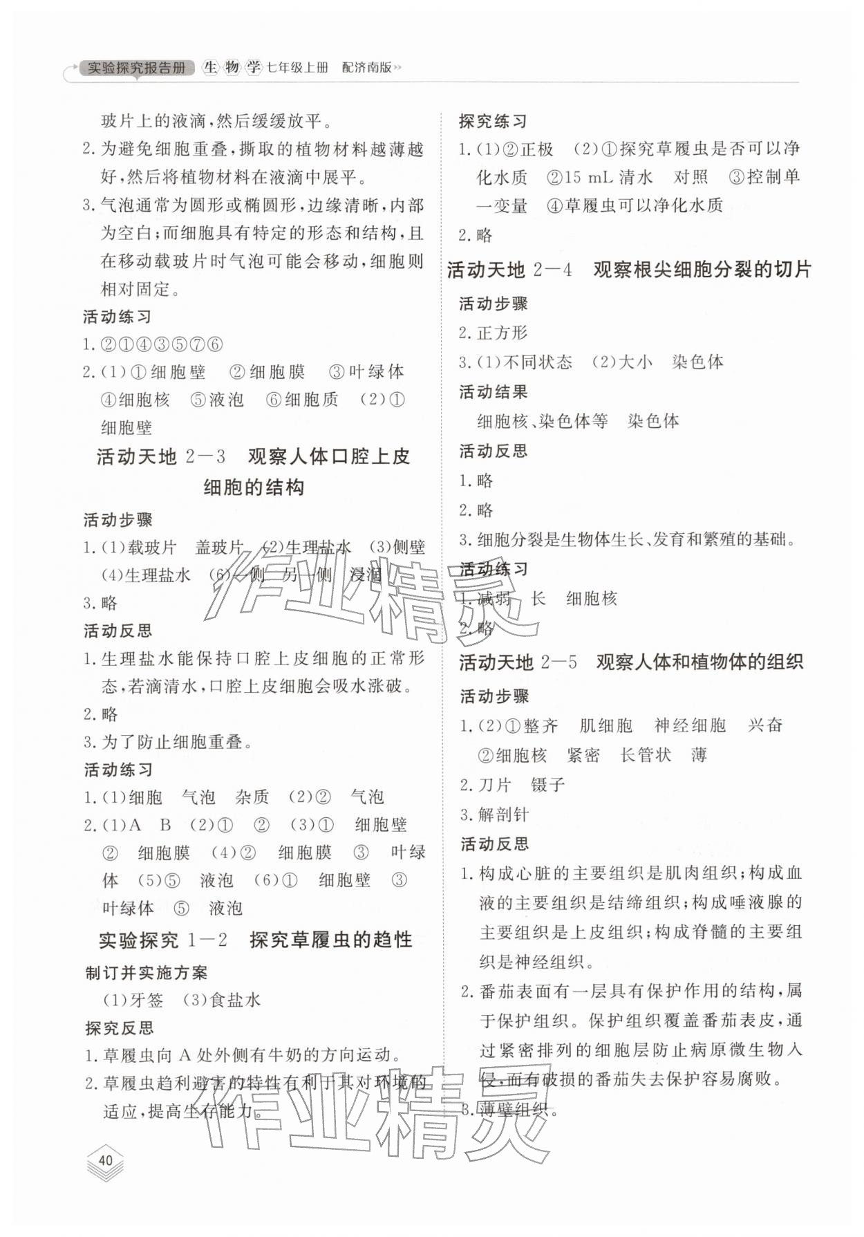 2025年实验探究报告册山东科学技术出版社七年级生物上册济南版 第2页