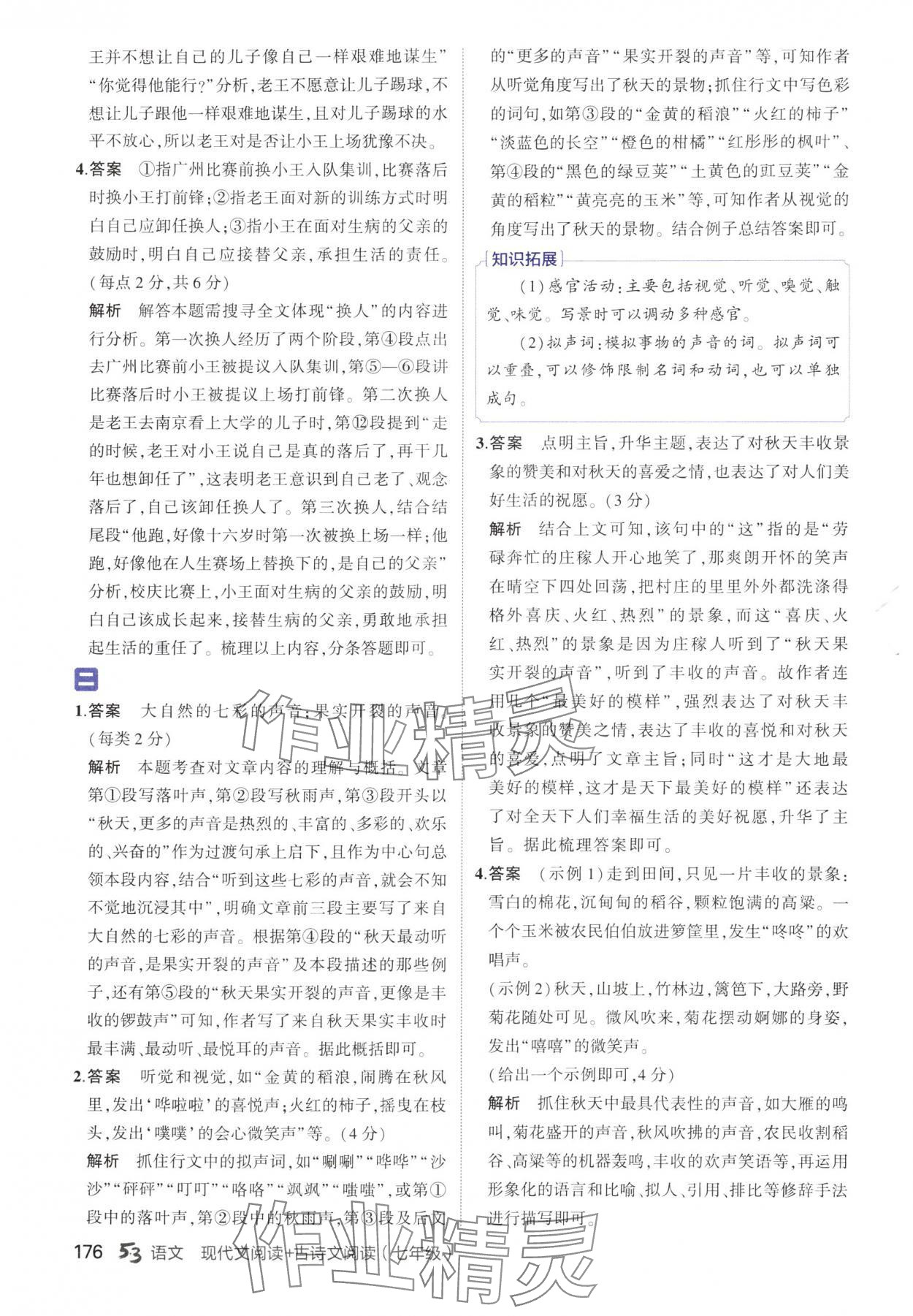 2024年53现代文阅读加古诗文阅读七年级语文人教版 参考答案第2页