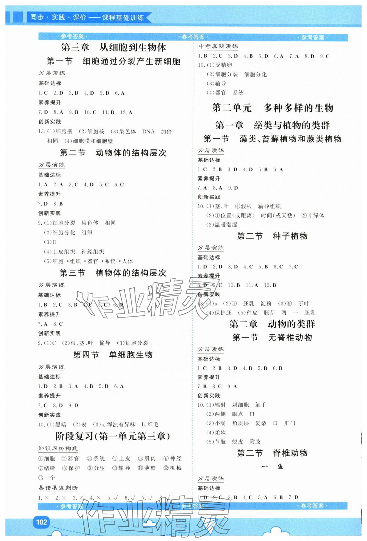 2025年同步实践评价课程基础训练湖南少年儿童出版社七年级生物上册人教版 第2页