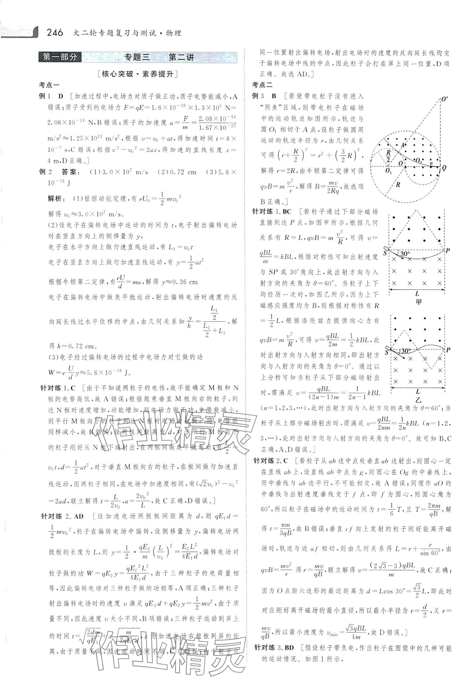 2024年金版新學(xué)案大二輪專題復(fù)習(xí)與測試（新高考）高中物理河北專版 第20頁