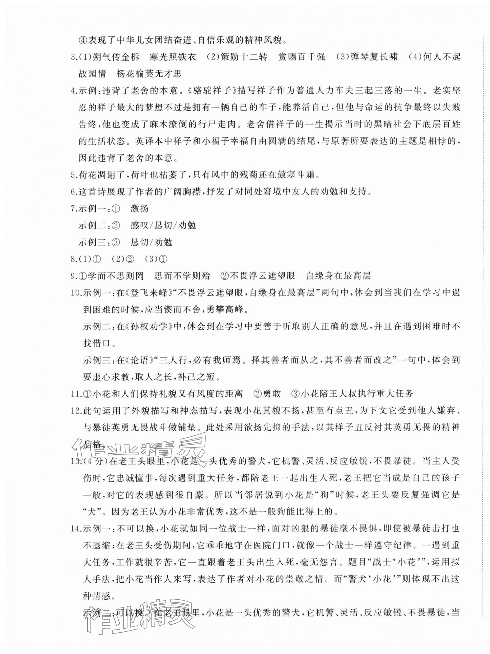 2025年精練課堂分層作業(yè)七年級(jí)語文下冊(cè)人教版 第9頁