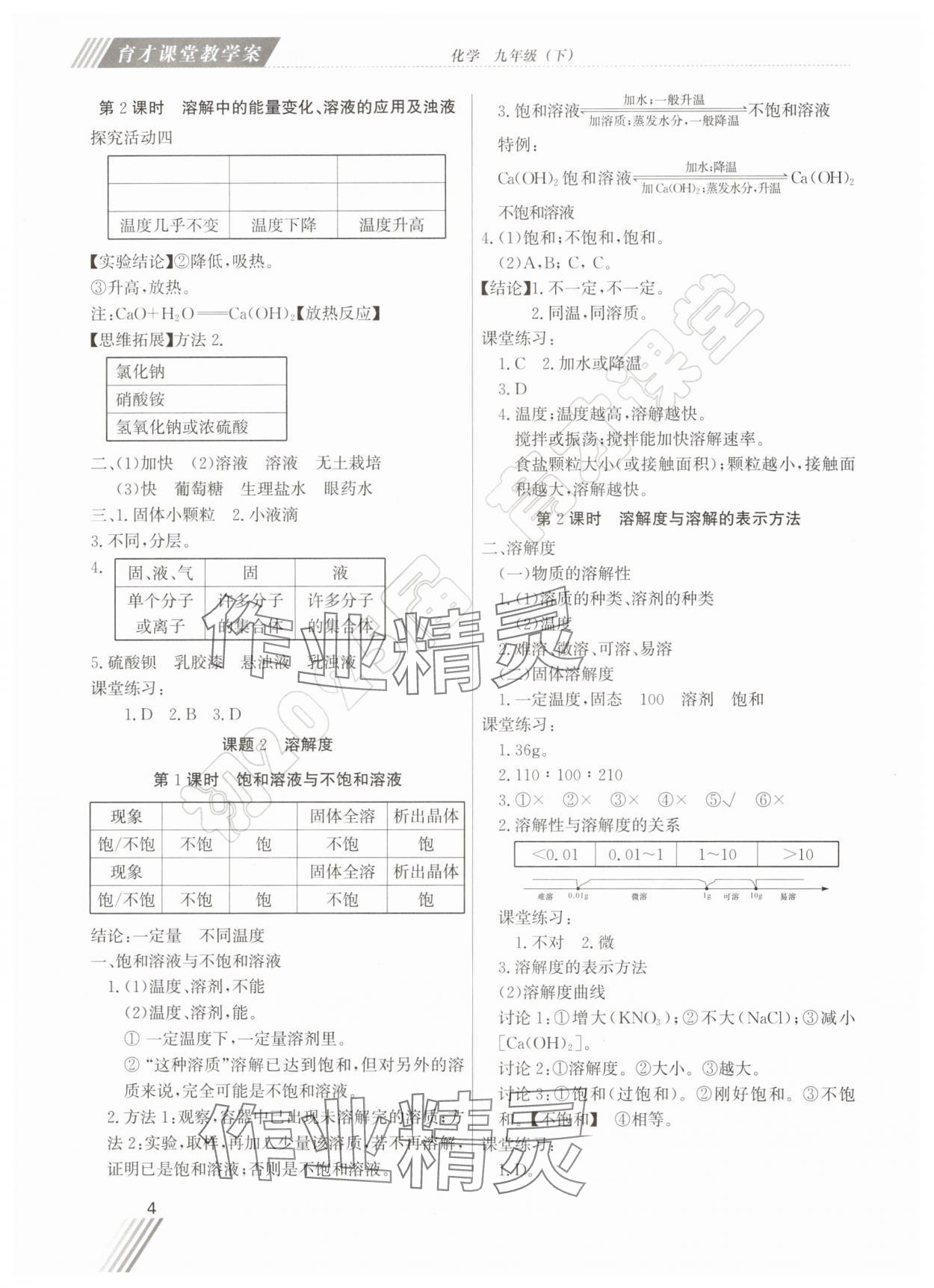 2025年育才課堂教學(xué)案九年級(jí)化學(xué)下冊(cè) 第4頁