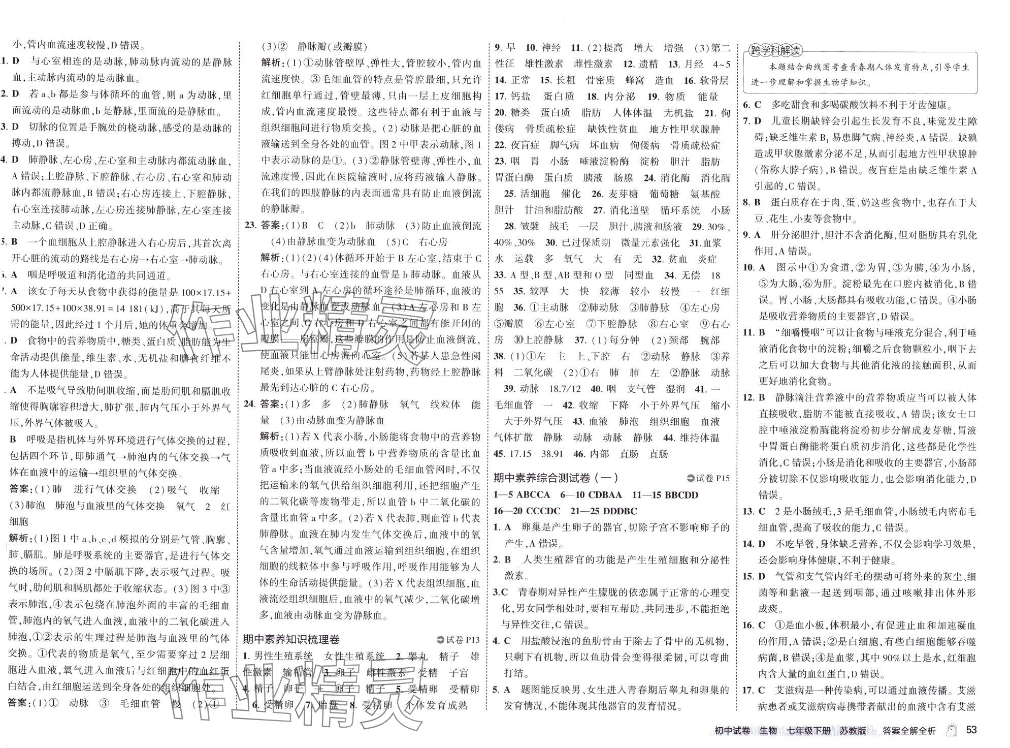 2024年5年中考3年模擬初中試卷七年級(jí)生物下冊(cè)蘇教版 第5頁