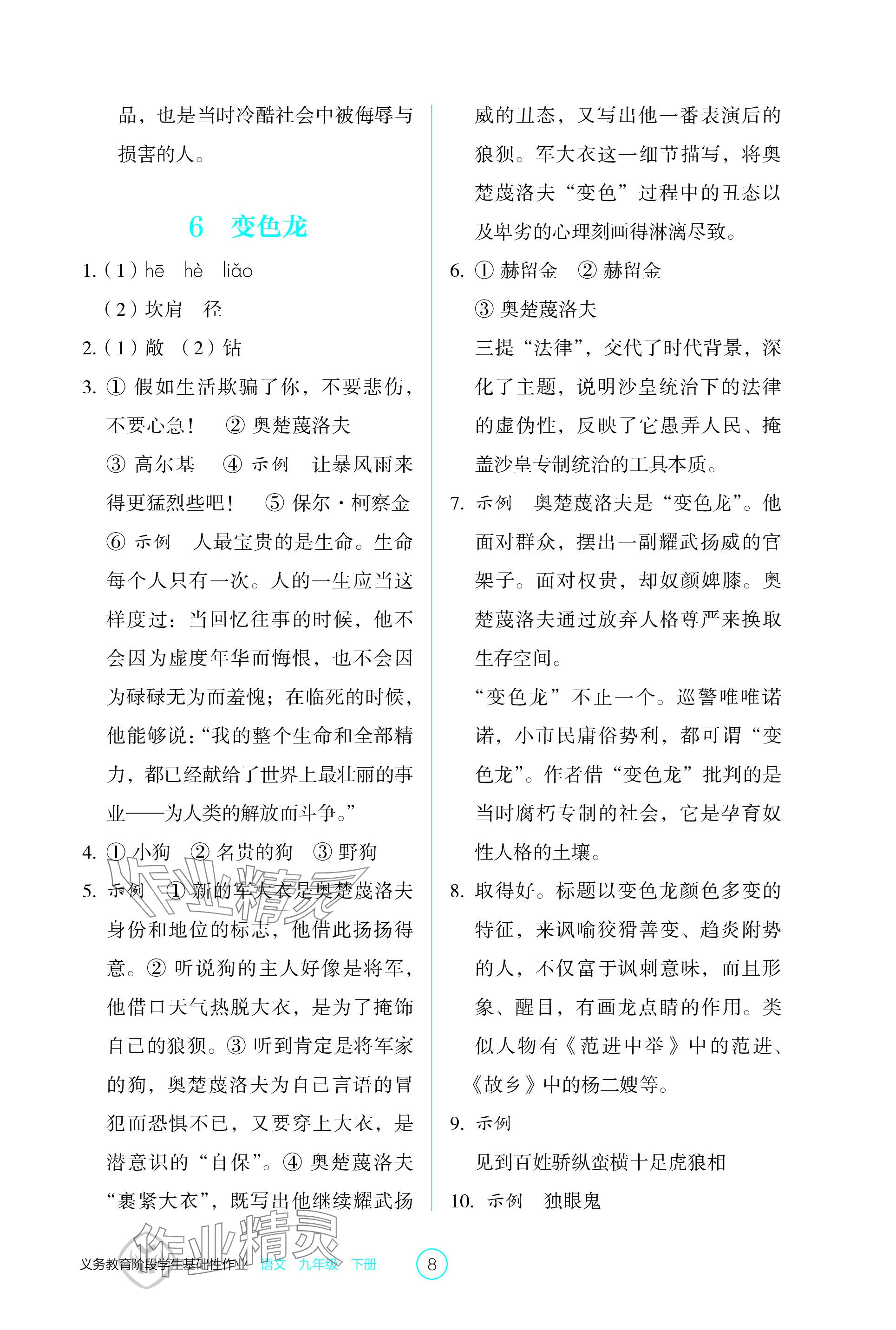 2024年學(xué)生基礎(chǔ)性作業(yè)九年級語文下冊人教版 參考答案第8頁