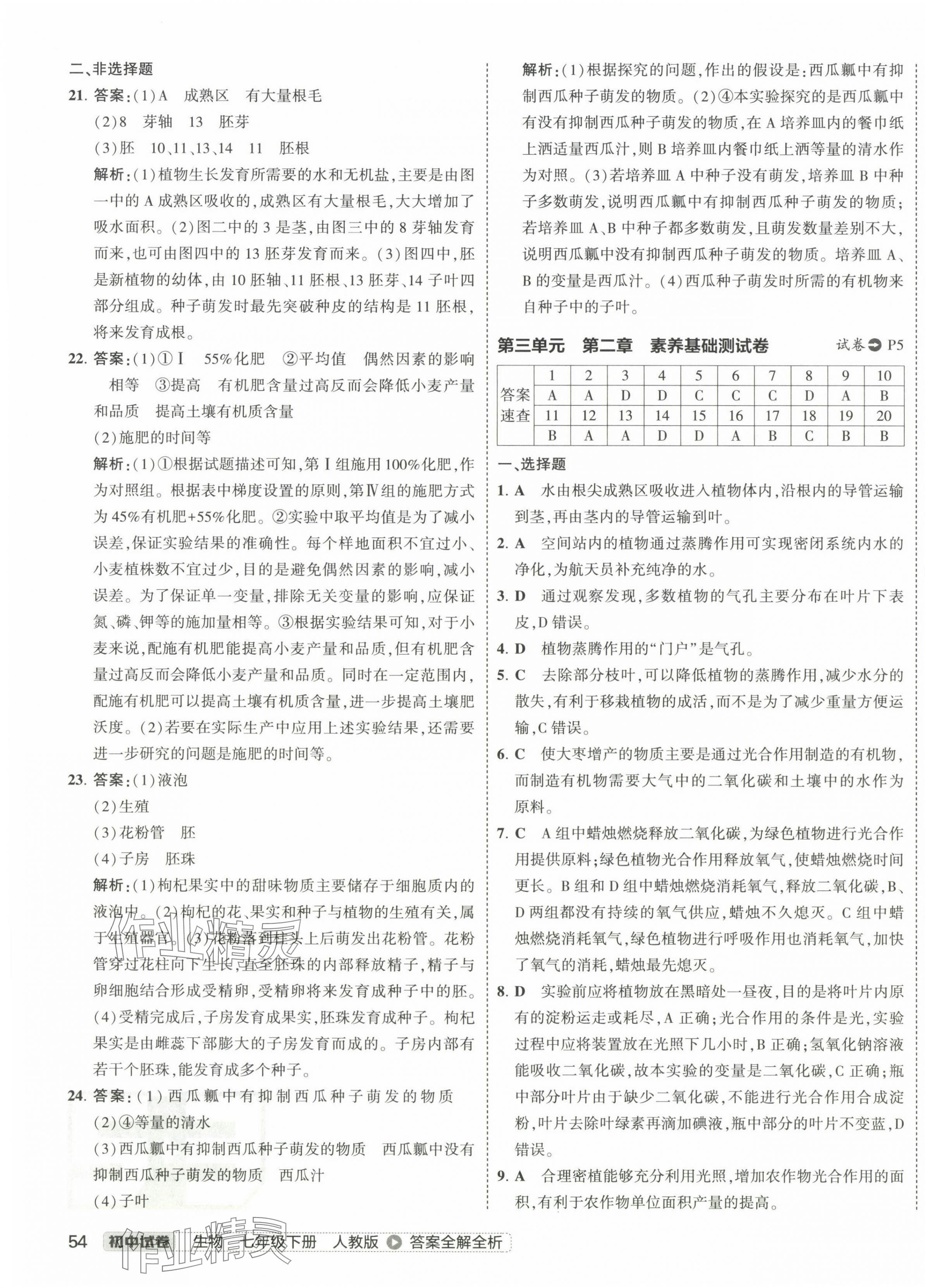 2025年5年中考3年模擬初中試卷七年級生物下冊人教版 第3頁