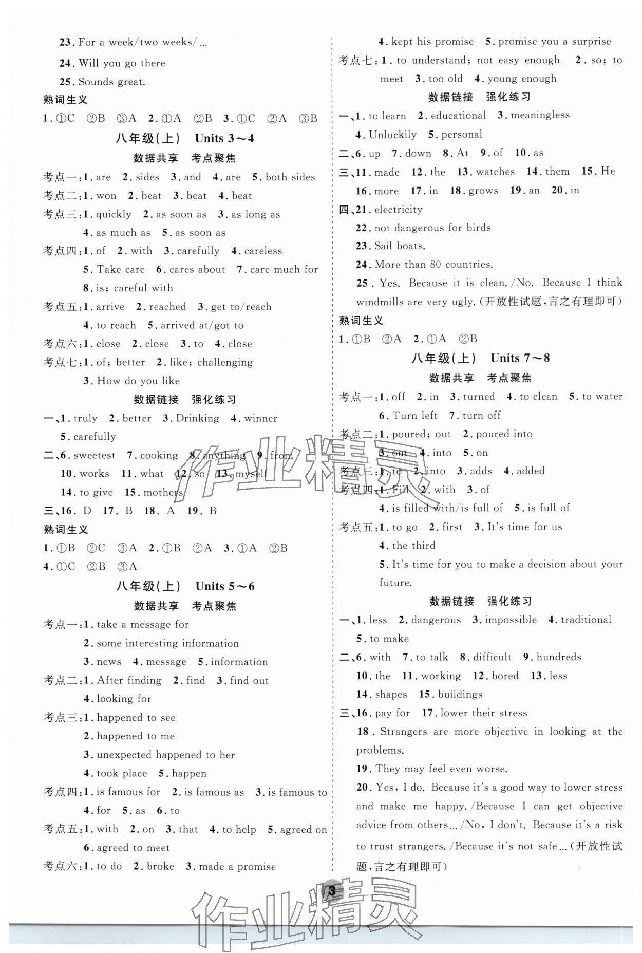 2025年中考大數(shù)據(jù)英語中考河北專版&nbsp;參考答案第3頁