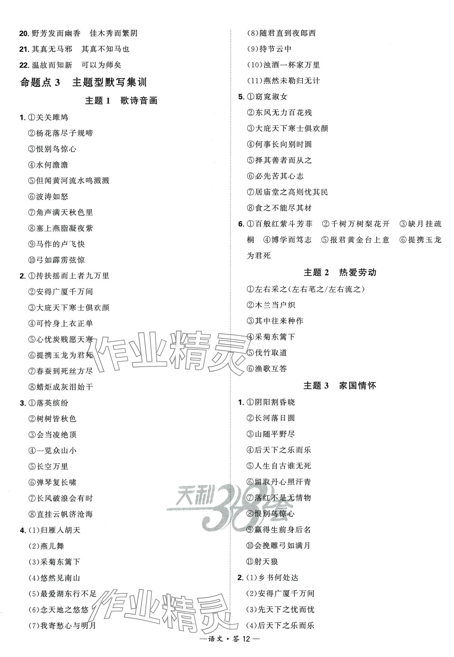 2024年天利38套全國中考試題分類訓(xùn)練語文 第12頁