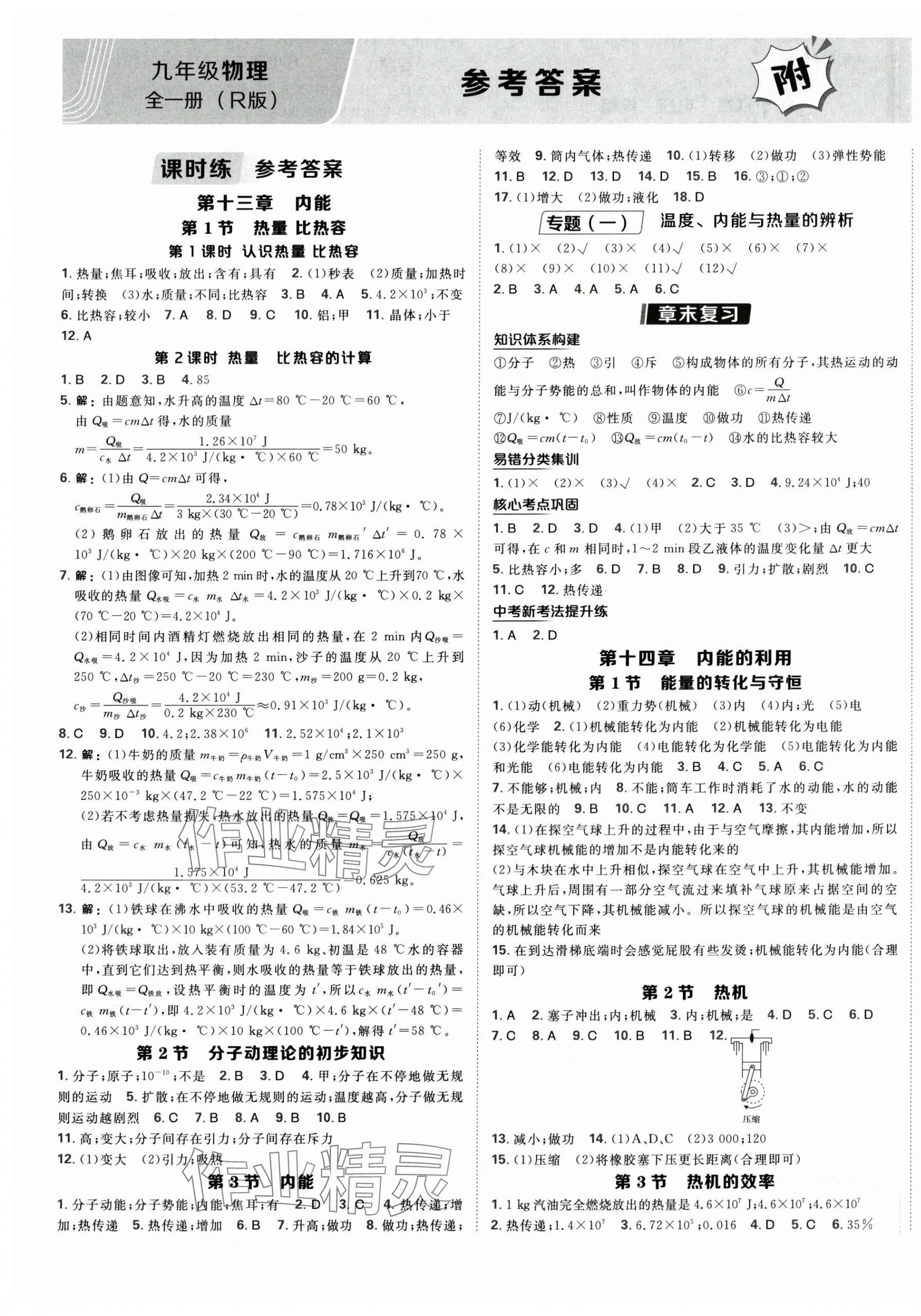 2025年点拨训练九年级物理全一册人教版 第1页
