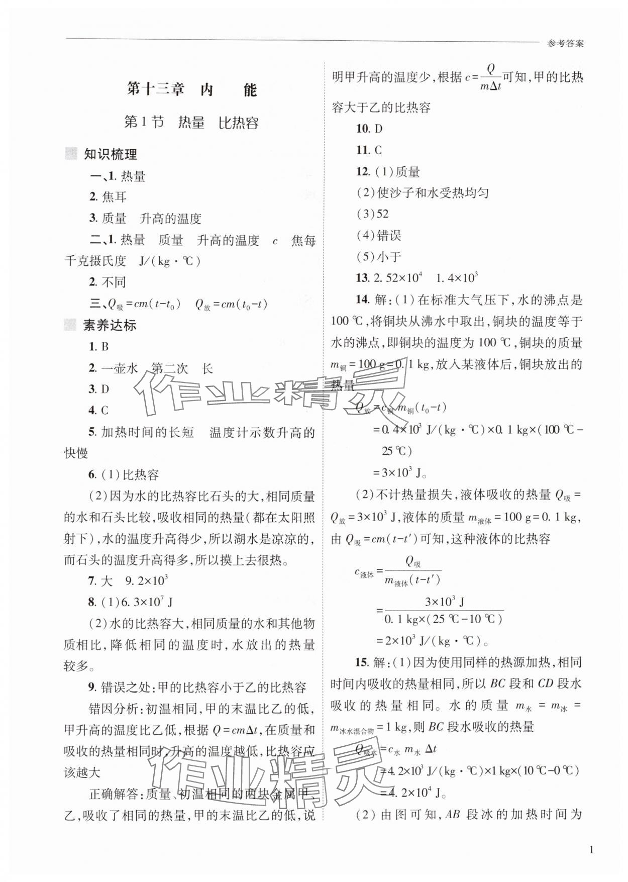 2025年新课程问题解决导学方案九年级物理全一册人教版 第1页