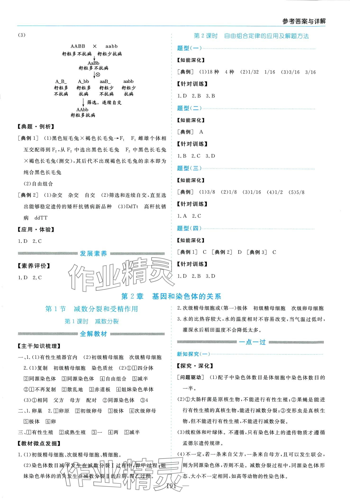 2024年新課程學(xué)習(xí)指導(dǎo)高中生物必修2人教版 第3頁