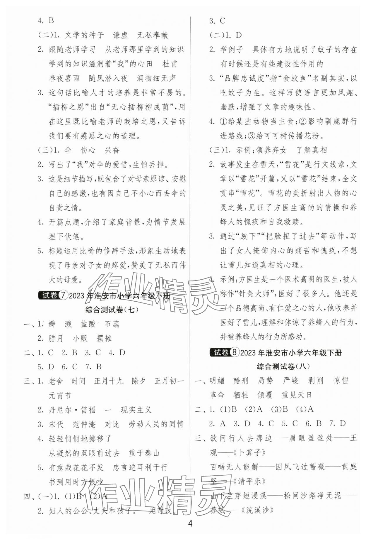 2024年考必胜小学毕业升学考试试卷精选语文淮安专版 第4页