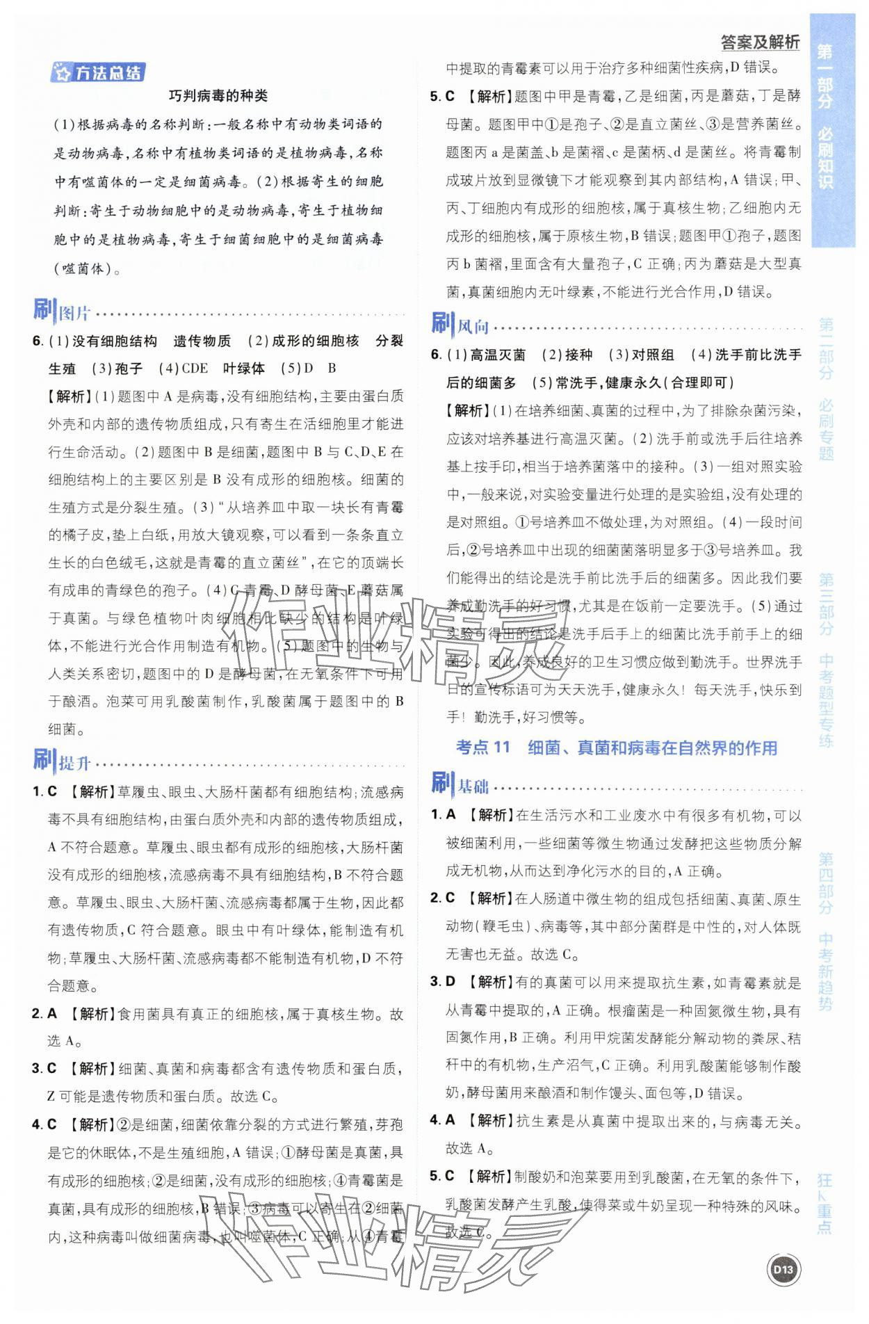 2024年中考必刷题开明出版社生物&nbsp;第13页