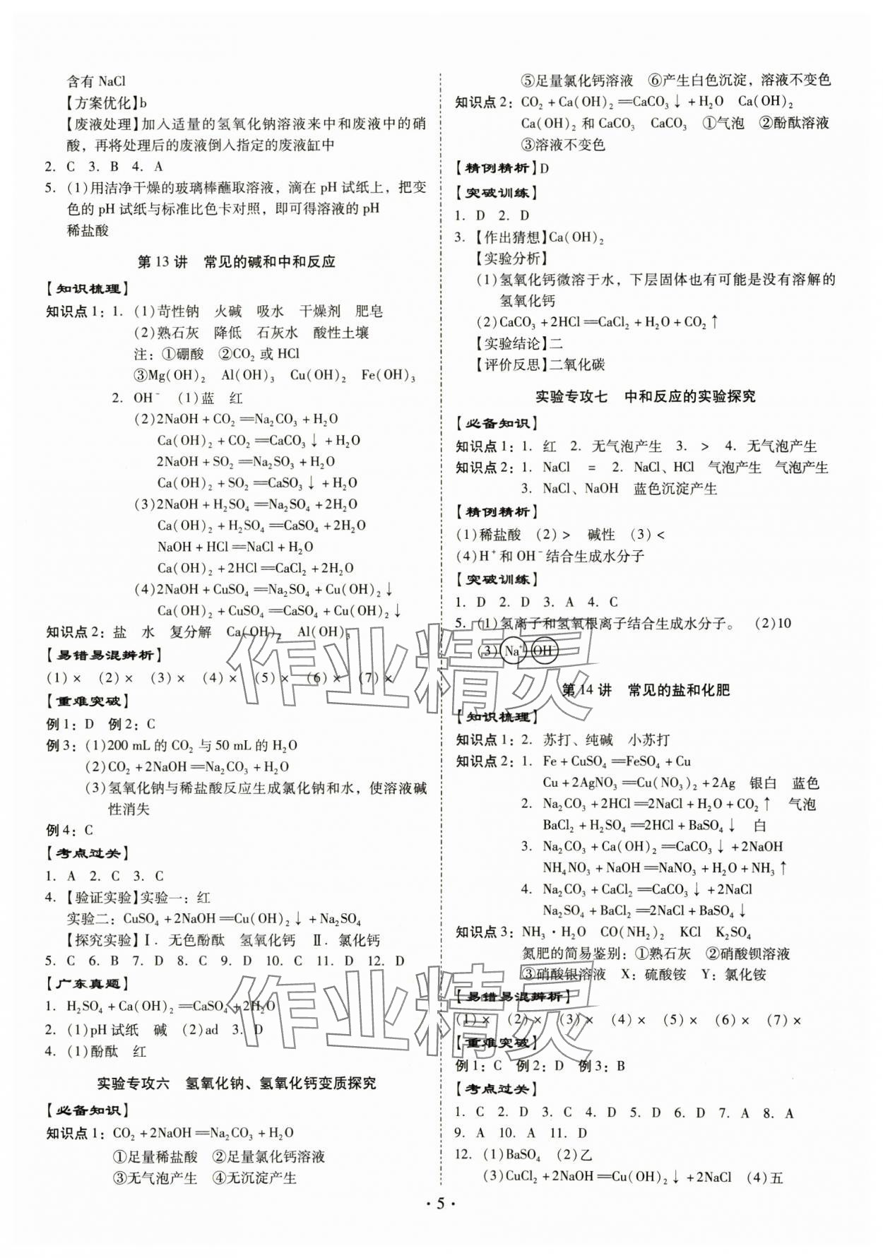 2025年金牌中考總復(fù)習(xí)化學(xué) 第5頁(yè)
