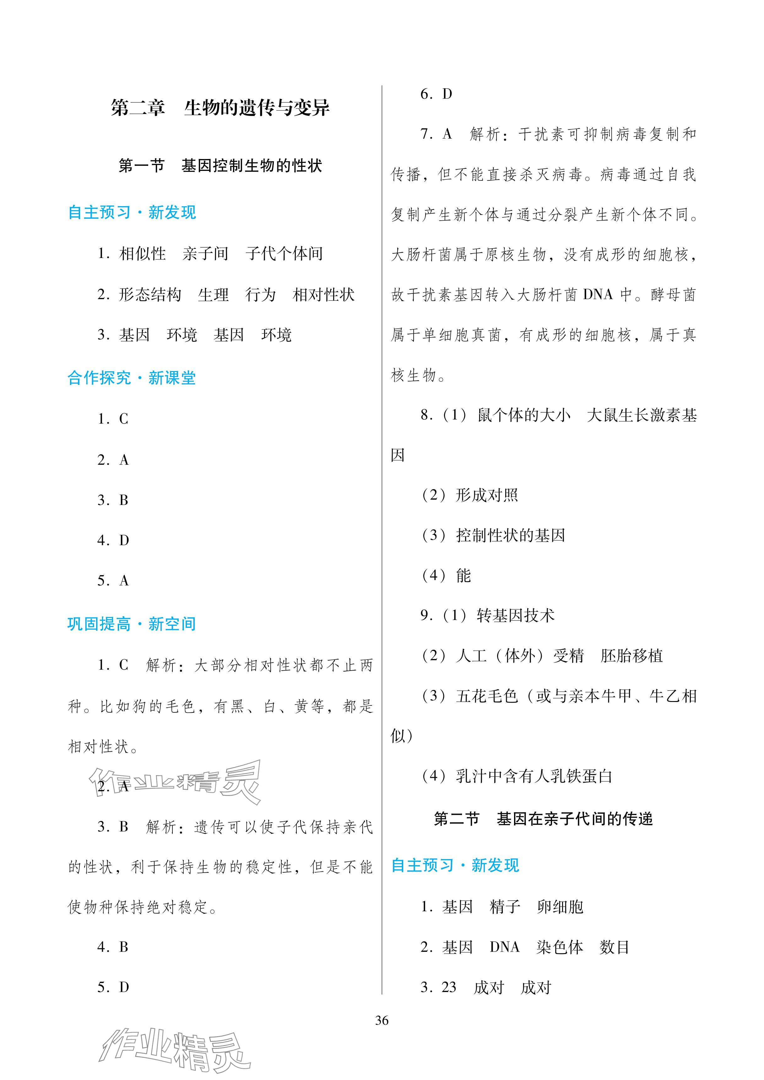 2024年南方新課堂金牌學(xué)案八年級生物下冊人教版深圳專版 參考答案第4頁