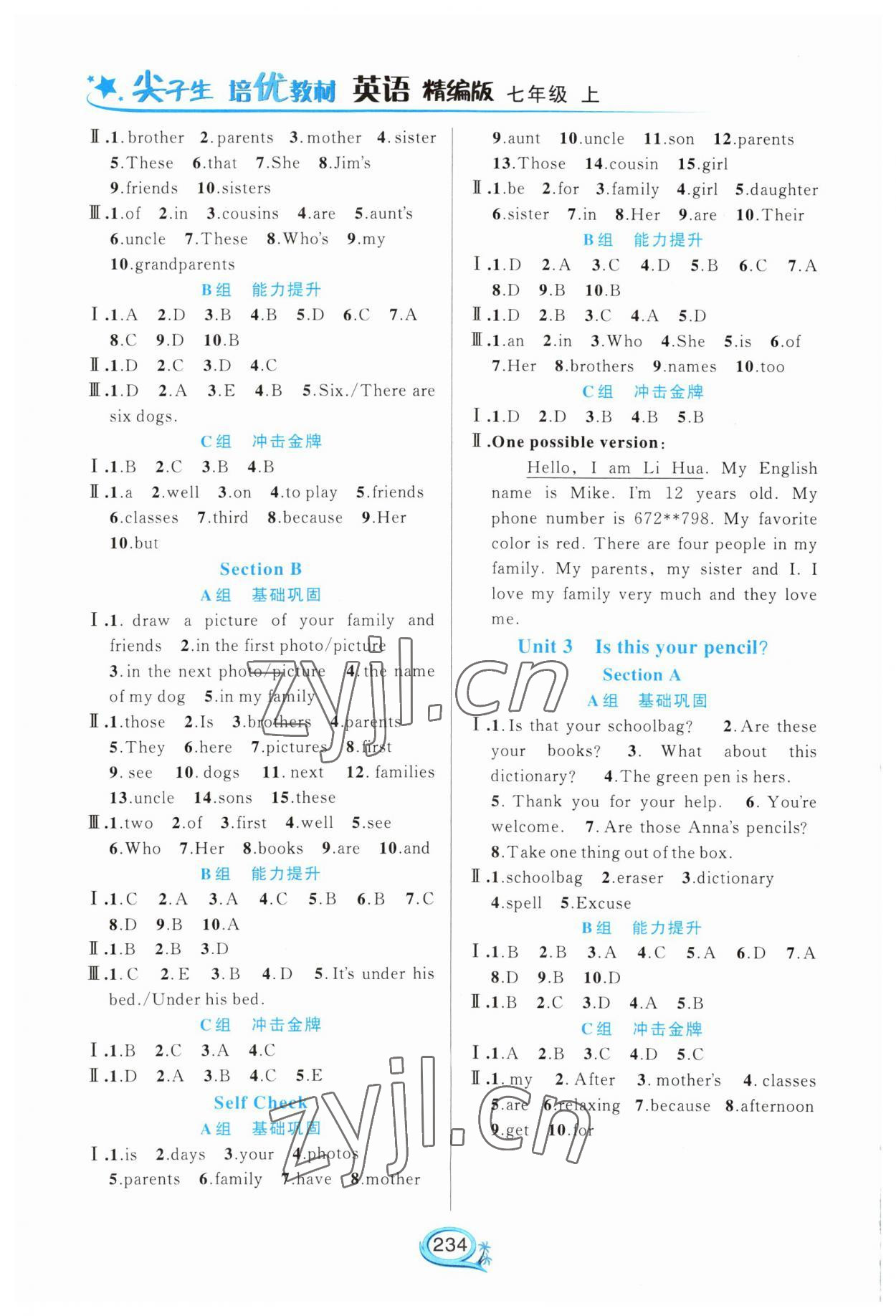 2023年尖子生培優(yōu)教材七年級(jí)英語(yǔ)上冊(cè)人教版精編版 第2頁(yè)