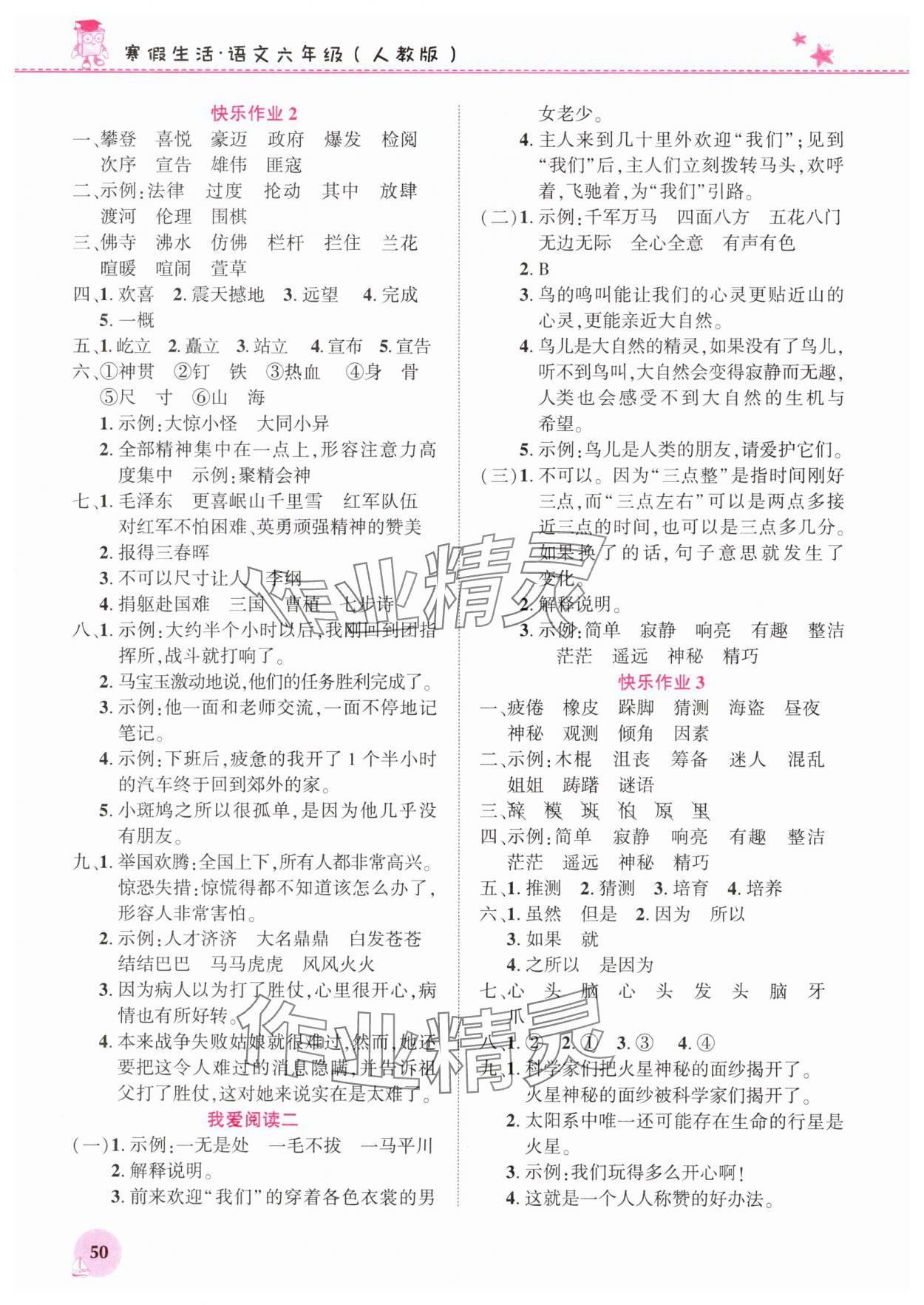 2025年寒假生活河南教育電子音像出版社六年級(jí)語(yǔ)文人教版 第2頁(yè)