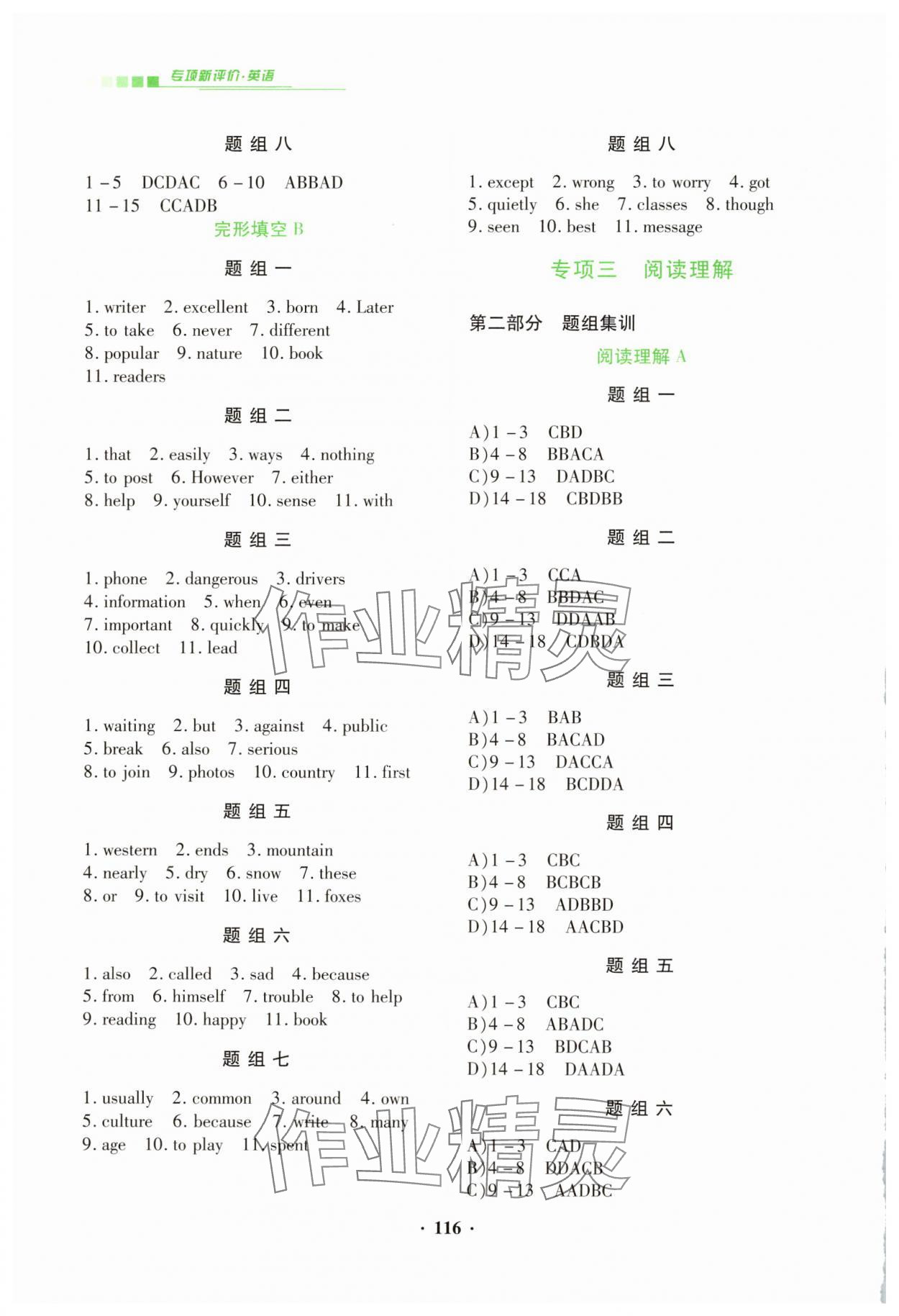 2025年專項新評價中考二輪英語 第2頁