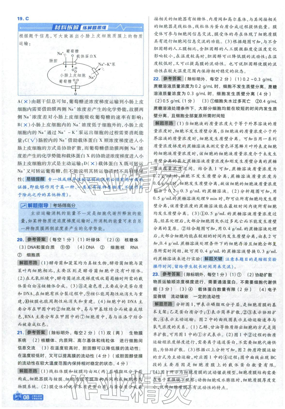 2025年金考卷名師名題單元雙測卷高中生物必修第一冊蘇教版&nbsp;參考答案第8頁