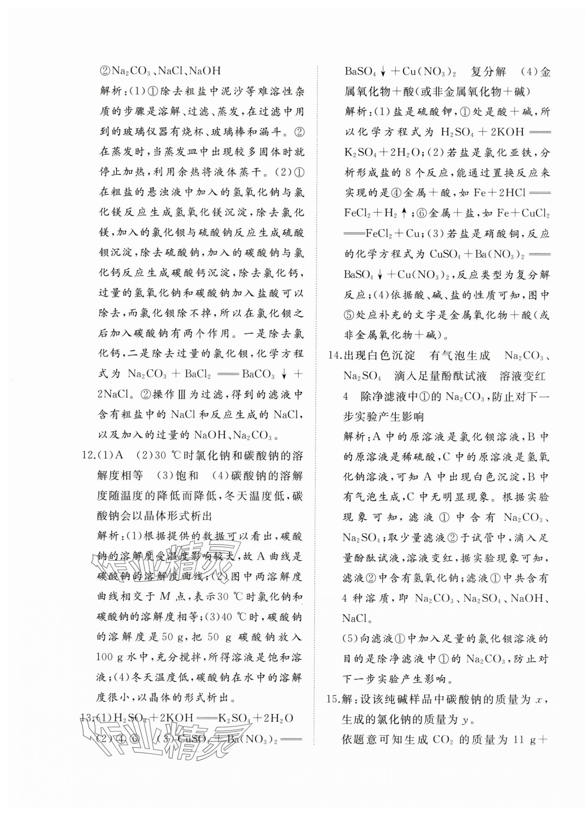 2024年精練課堂分層作業(yè)九年級(jí)化學(xué)下冊(cè)人教版 第5頁