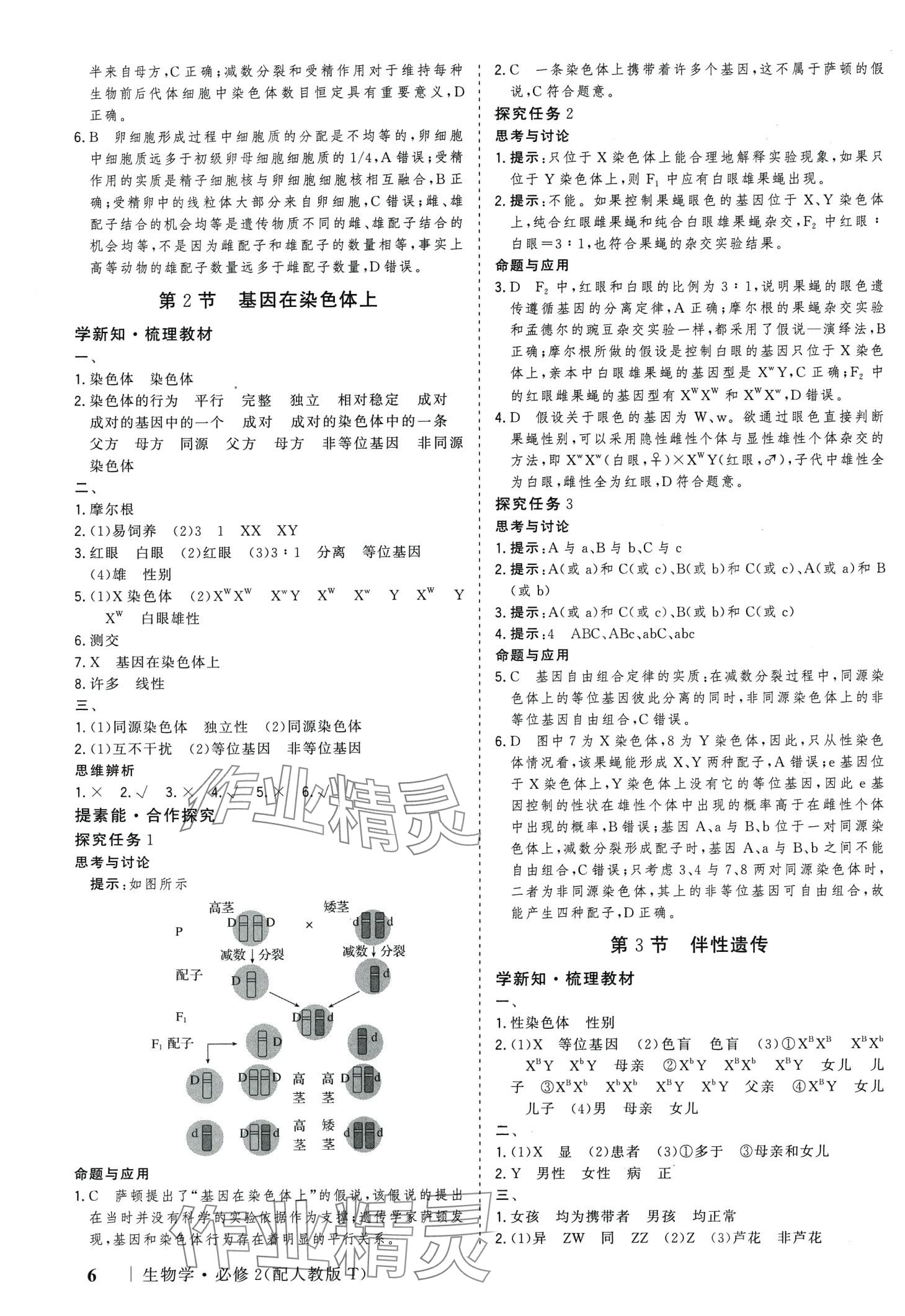 2024年高考領(lǐng)航高中生物必修2人教版 第6頁