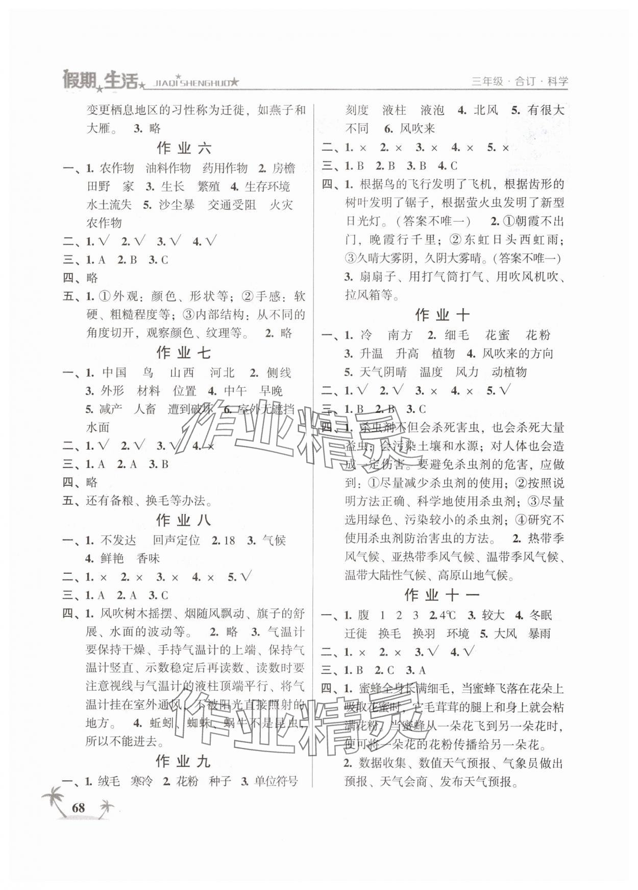 2025年假期生活方圆电子音像出版社三年级合订 第2页